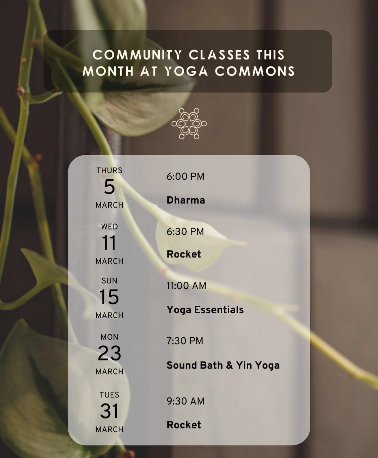 ✨ March Community Classes @ Yoga Commons ✨
$5 drop-in &bull; all levels welcome

Same open door, new month. These community classes are an invitation to move, breathe, and reconnect&mdash;without pressure, just presence.

🗓 March lineup:
Thurs, Marc