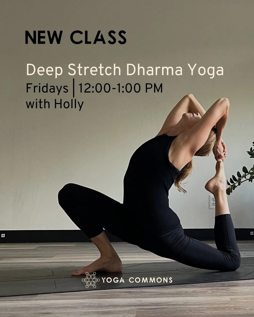 There&rsquo;s a difference between forcing flexibility and learning how to create space in the body with patience, breath, and awareness.

Starting May 22nd, join Holly on Fridays from 12&ndash;1 PM for Deep Stretch Dharma Yoga at Yoga Commons.

This