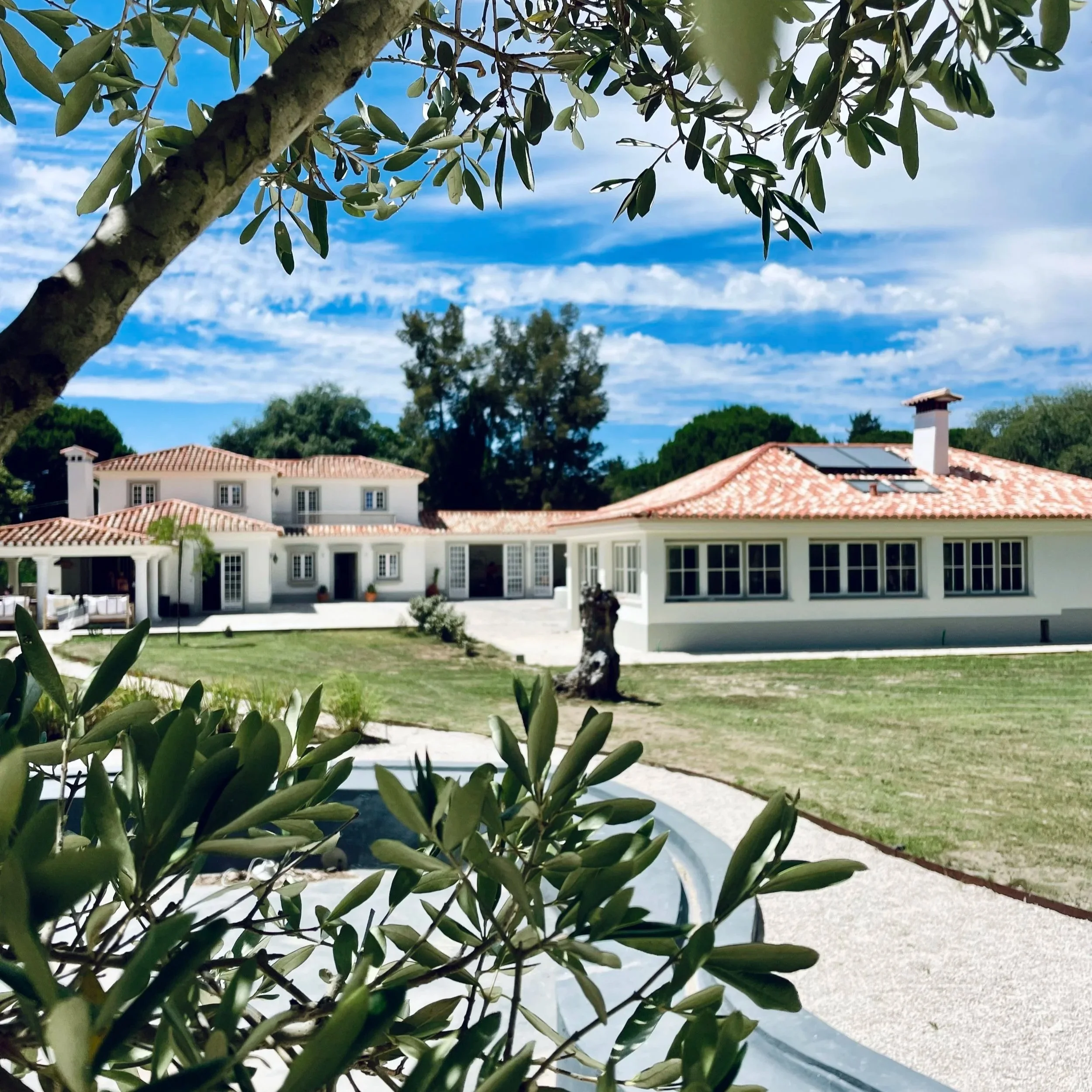 Terra+Quinta+Houses.jpg