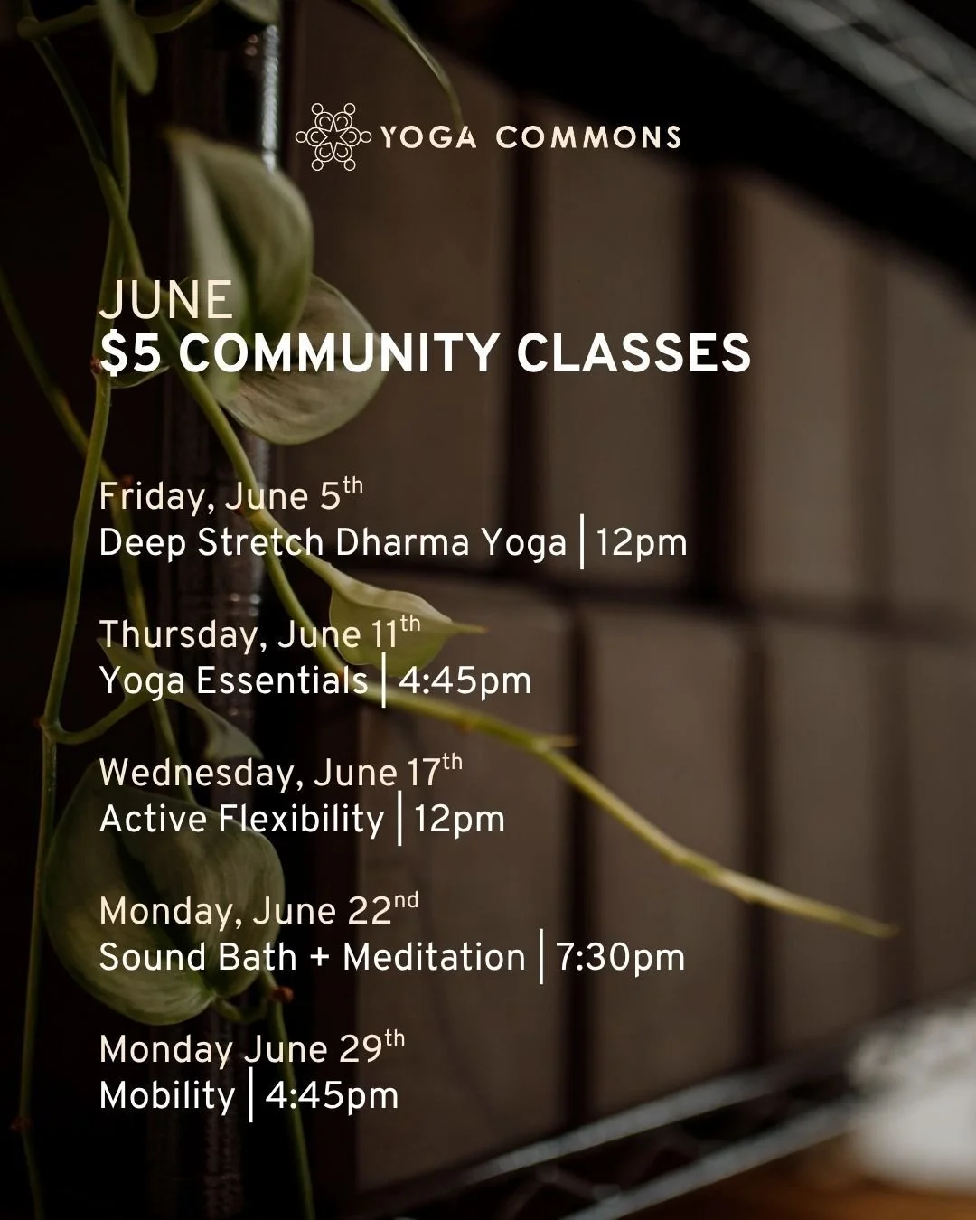 Some things in life should just be more accessible. Good yoga is one of them.

Every week we open our doors for a $5 community class. Real, high-quality instruction in a welcoming space, for the price of a cup of coffee. 

Whether you're curious abou