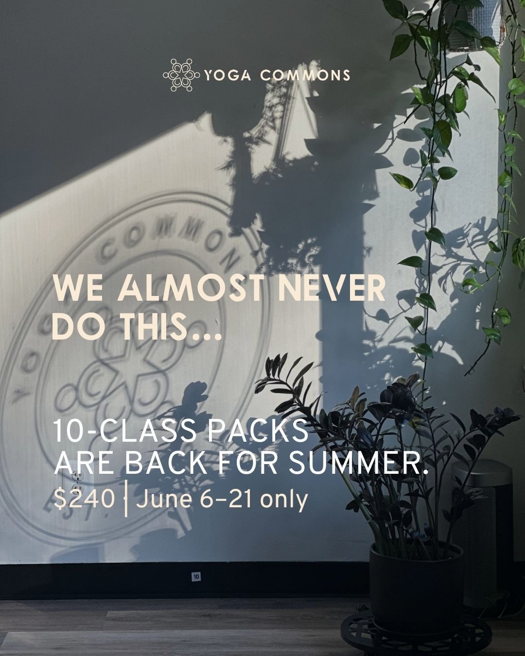 If you've been meaning to get back on your mat with us more this summer, here's your opening. 

We almost never sell class packs, but for two weeks we are: 10 classes for $240, no expiration, good for everything on our in-person schedule. Group class