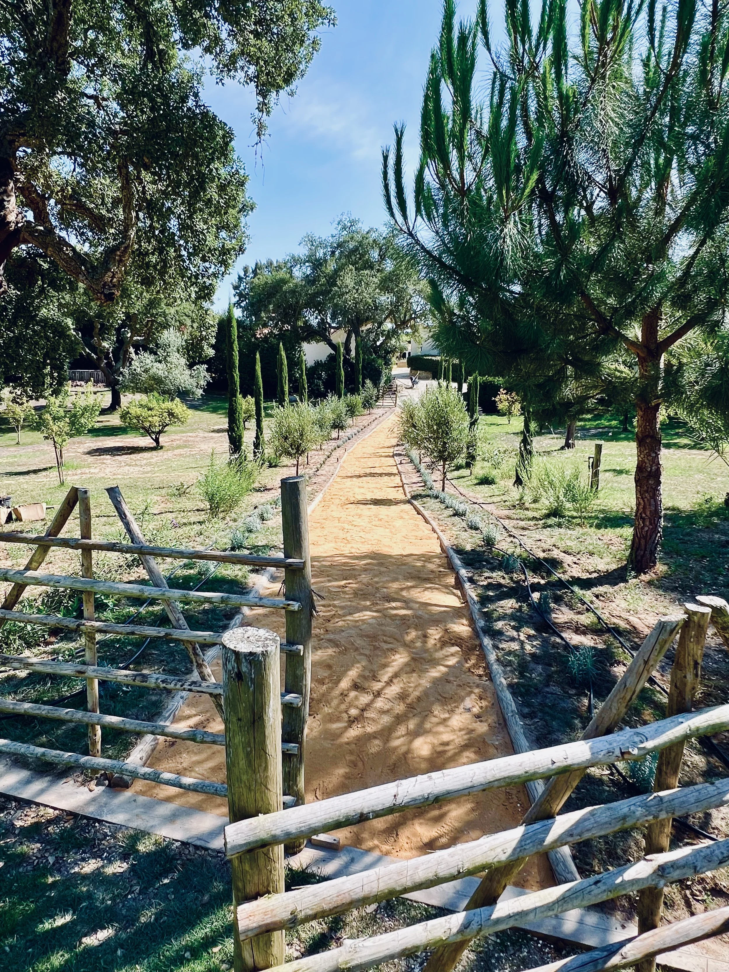 path.jpg