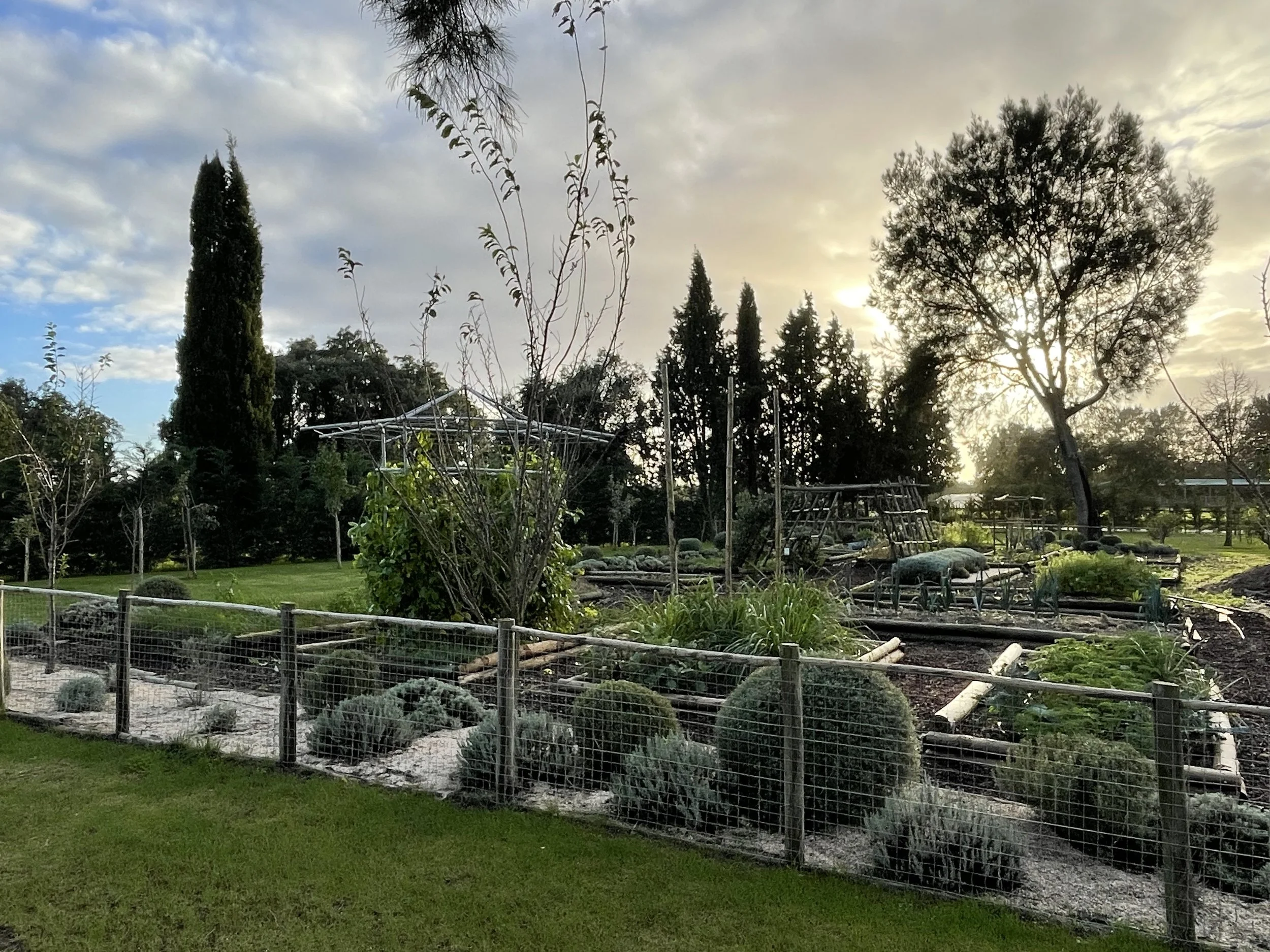Terra Quinta Vegetable garden light.jpeg