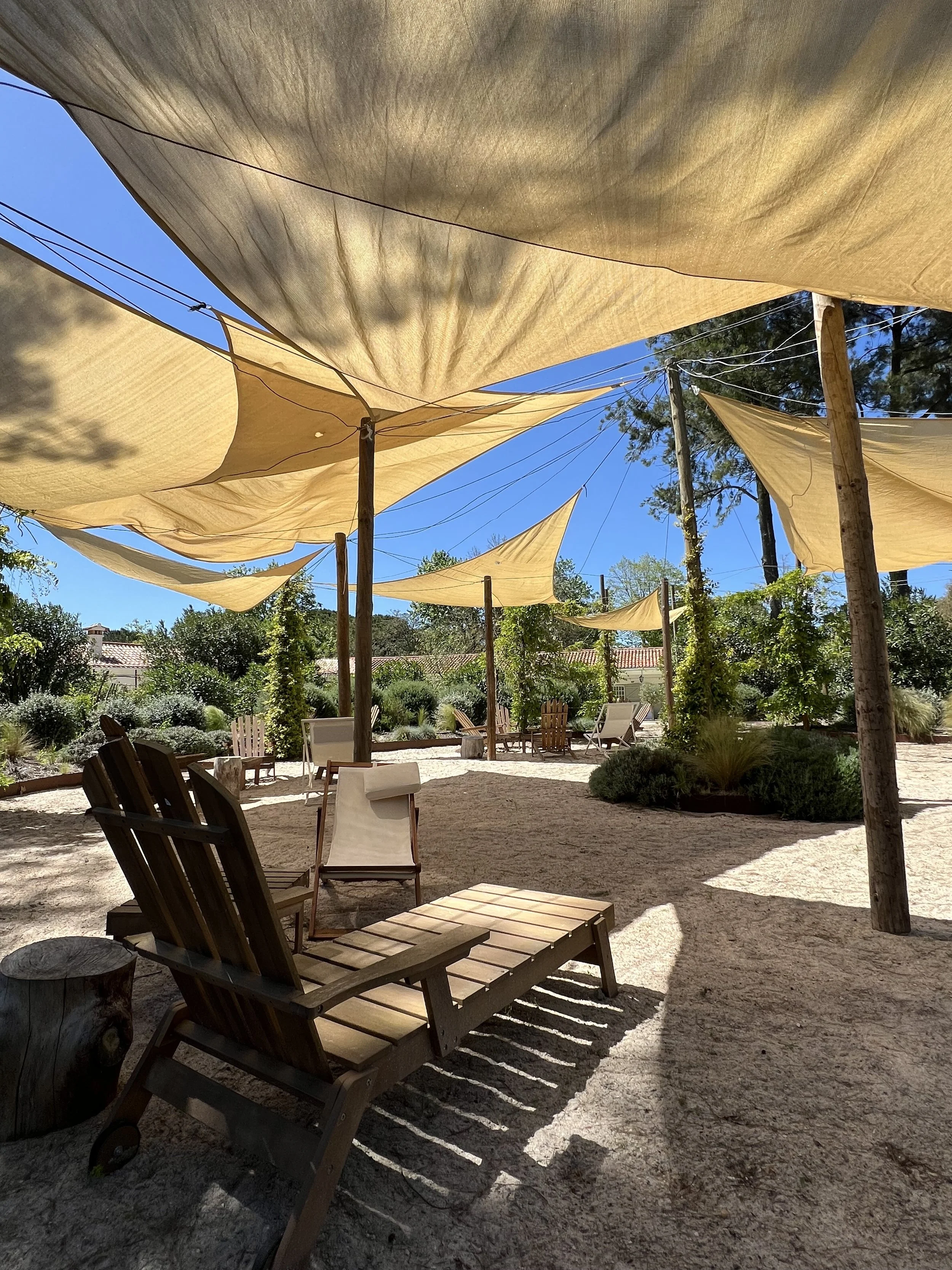 outdoor area.jpg