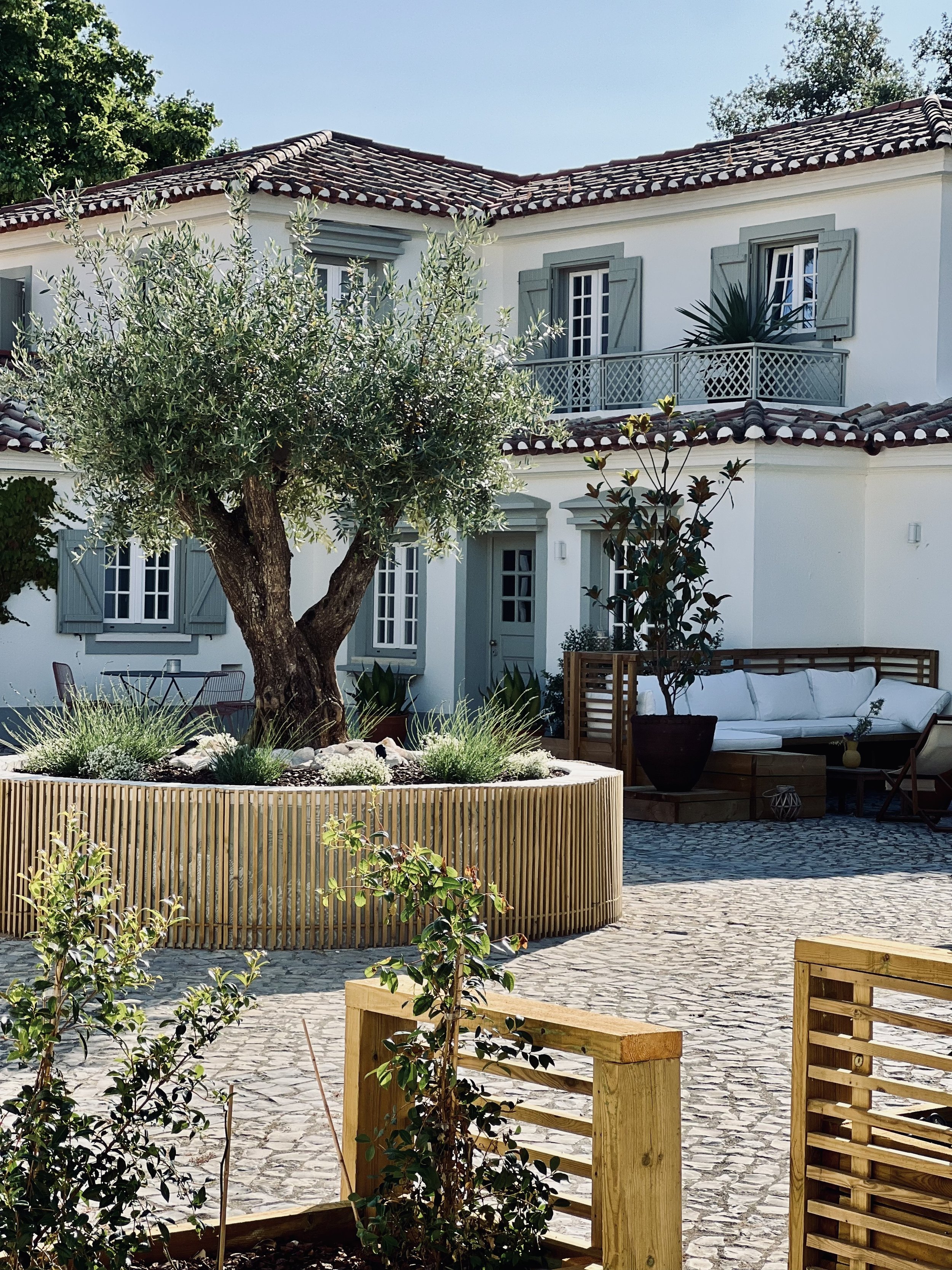 main yard and house.jpg