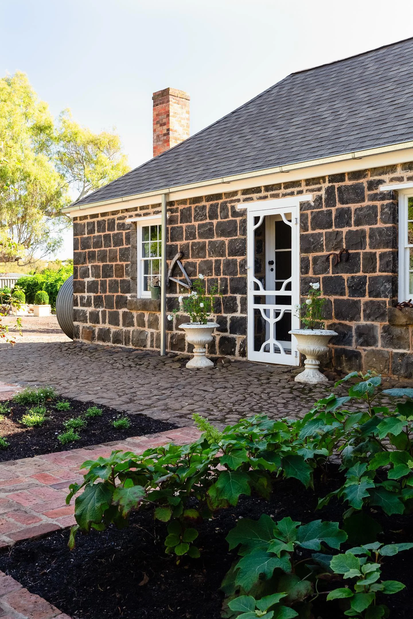 F3DD5D06-BF86-48CB-90FF-9201EAAB7CF6 3.JPG