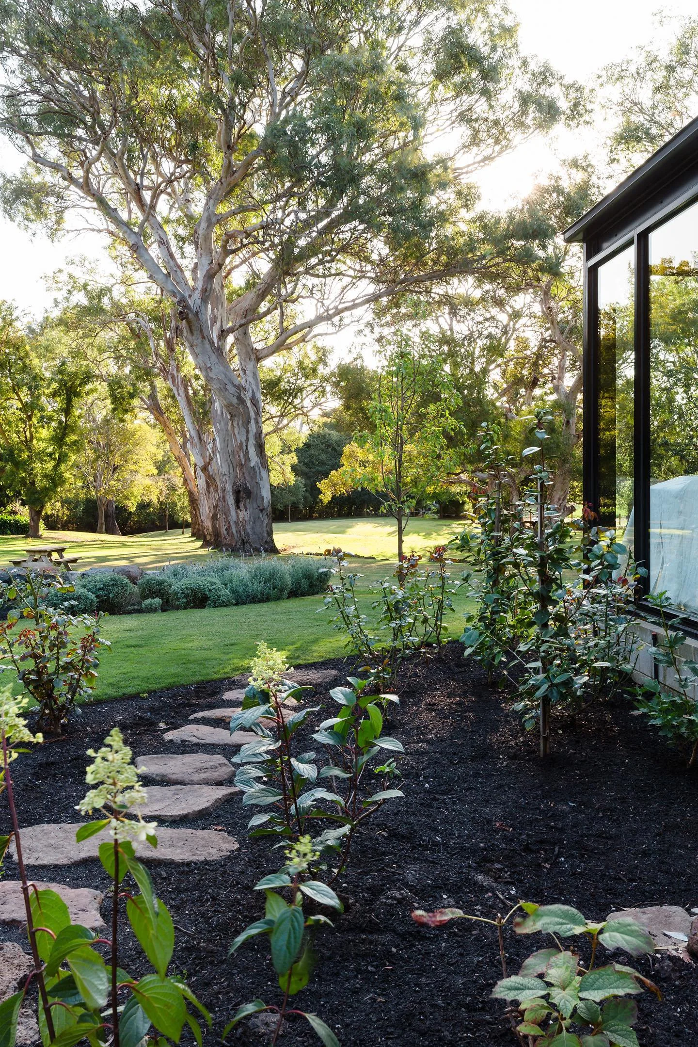 ED297ADE-5D57-4746-B60D-8B409151FC5B 5.JPG