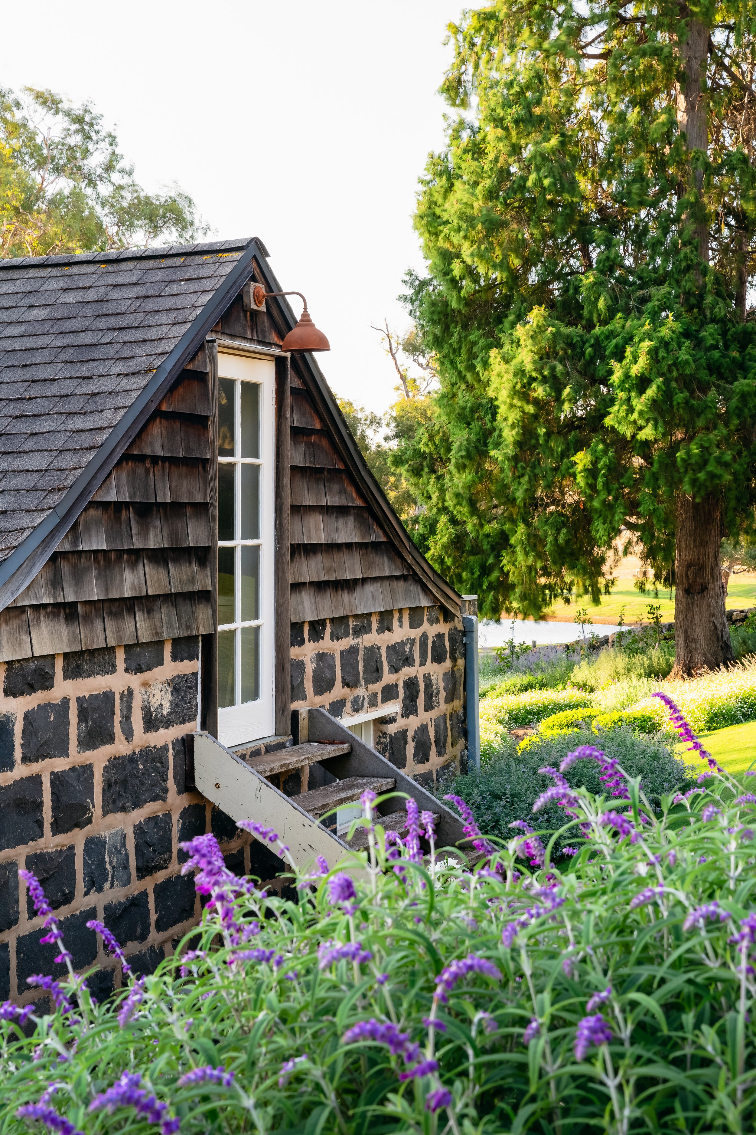 20230324-muhlebach southerlands creek-323-edit-edit 2.JPG