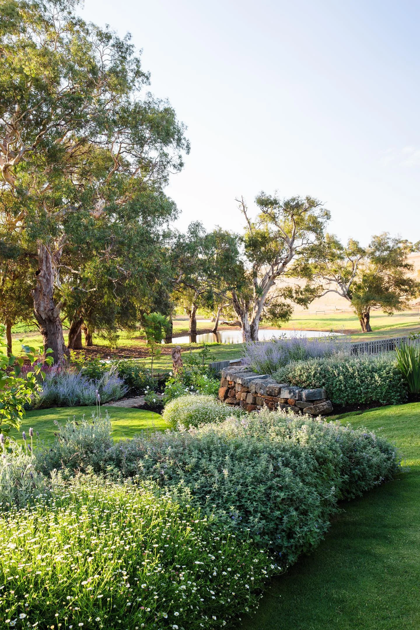 7A46359A-E542-40F0-BED2-EA19174D154B 3.JPG