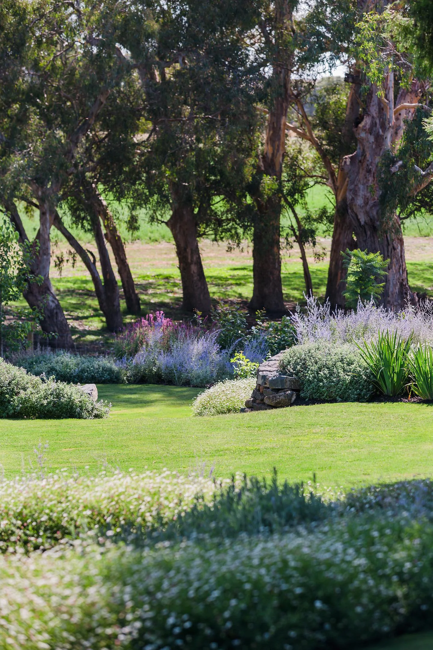 AA5451CE-2190-4653-8EC1-0DD72FEEA2B4 6.JPG