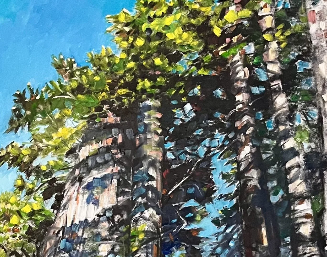 Trees as Sacred Beings