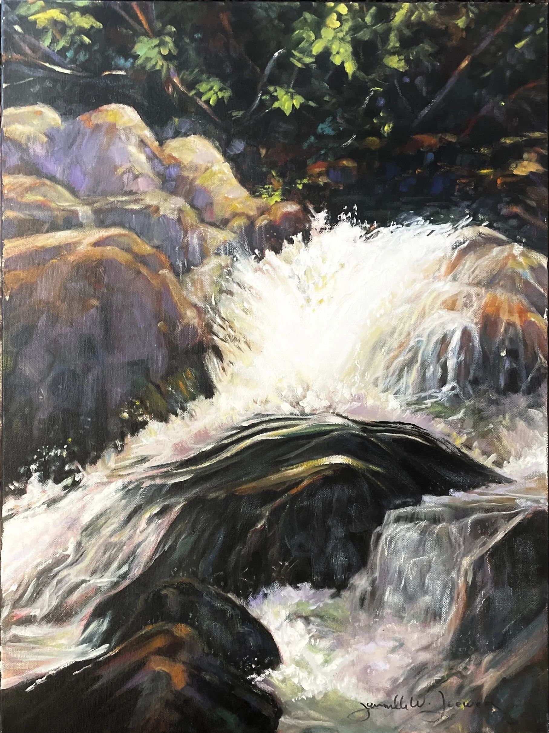 Live Water with Rocks