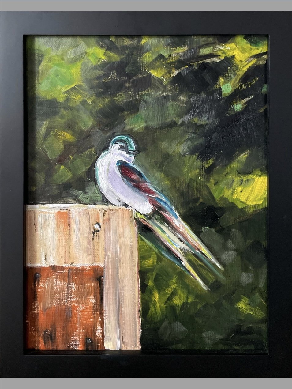Swallow
