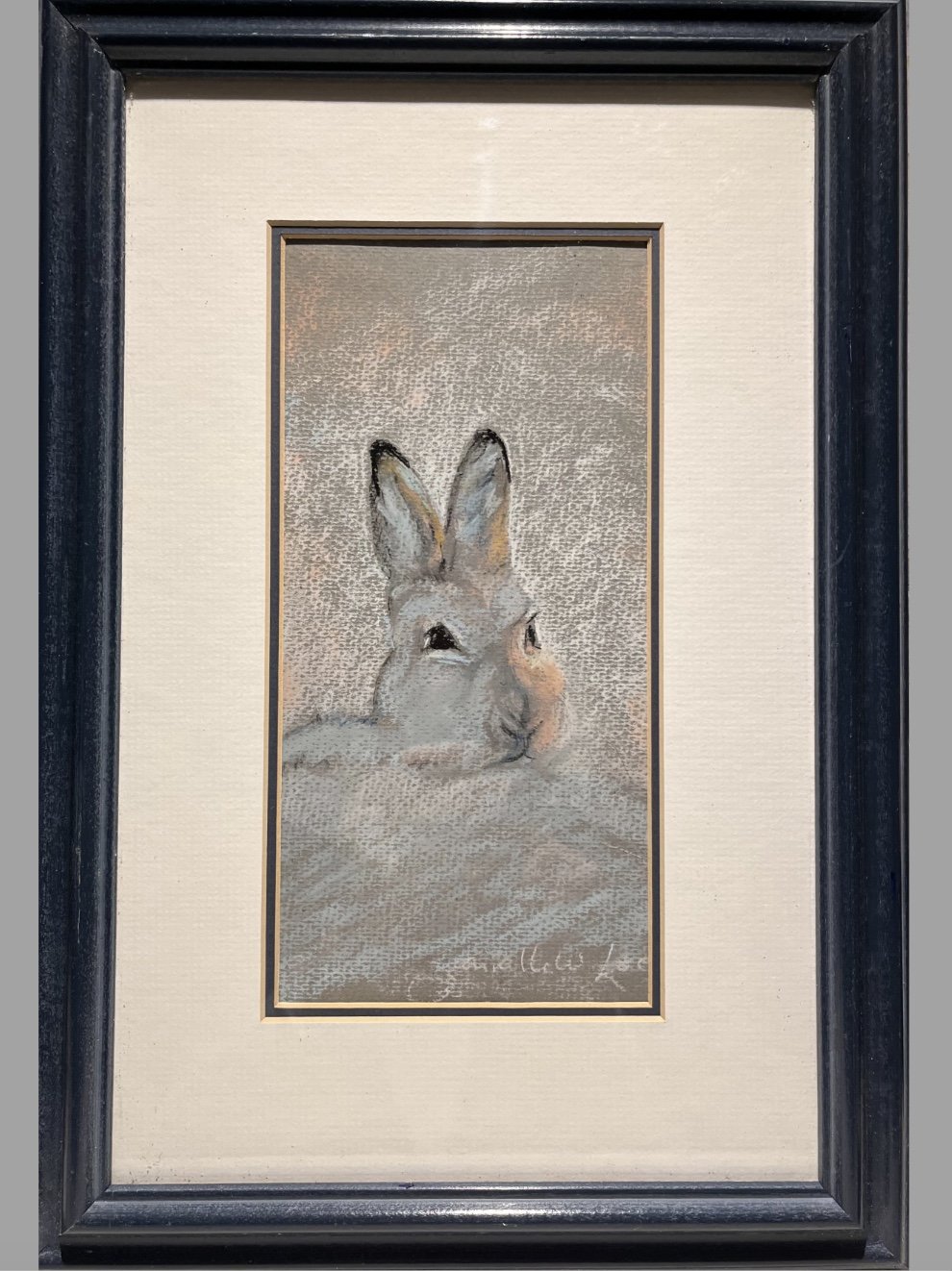 Bunny in Snow