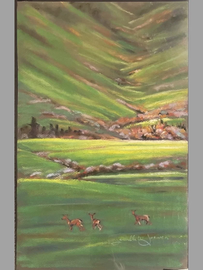 Green Fields by McMinnville