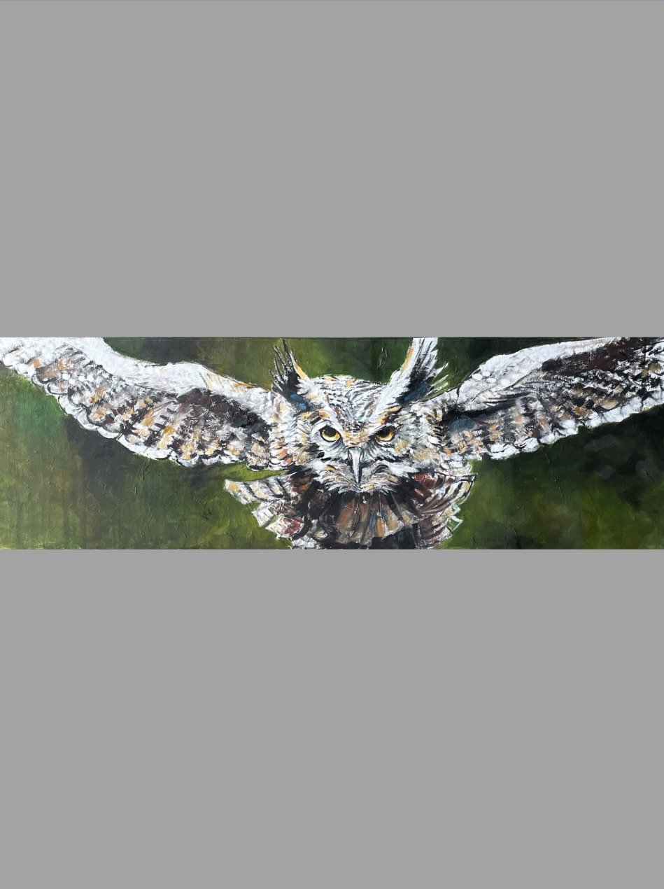 Owl Coming at You!