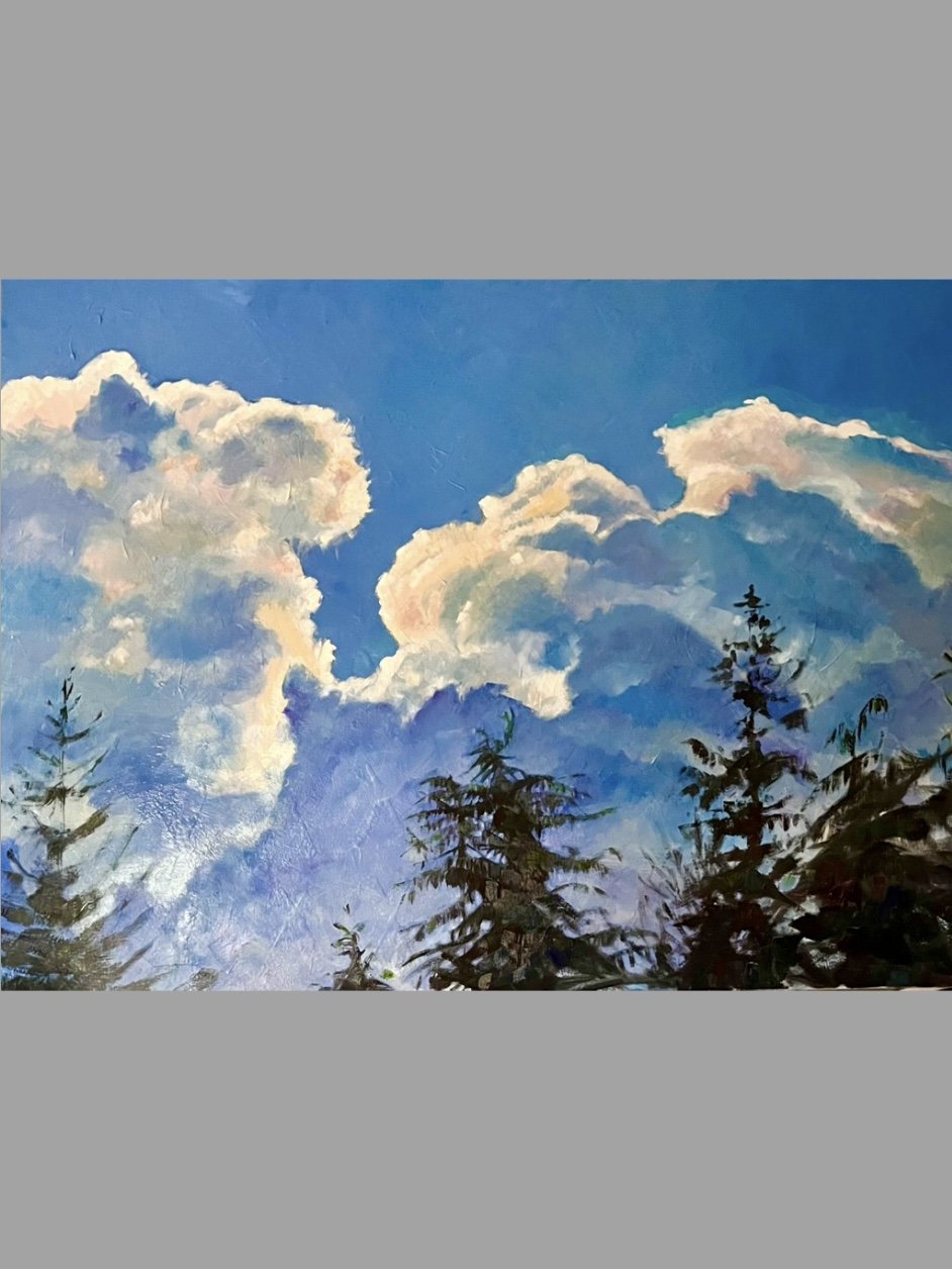 Big Blue Sky and Big Trees