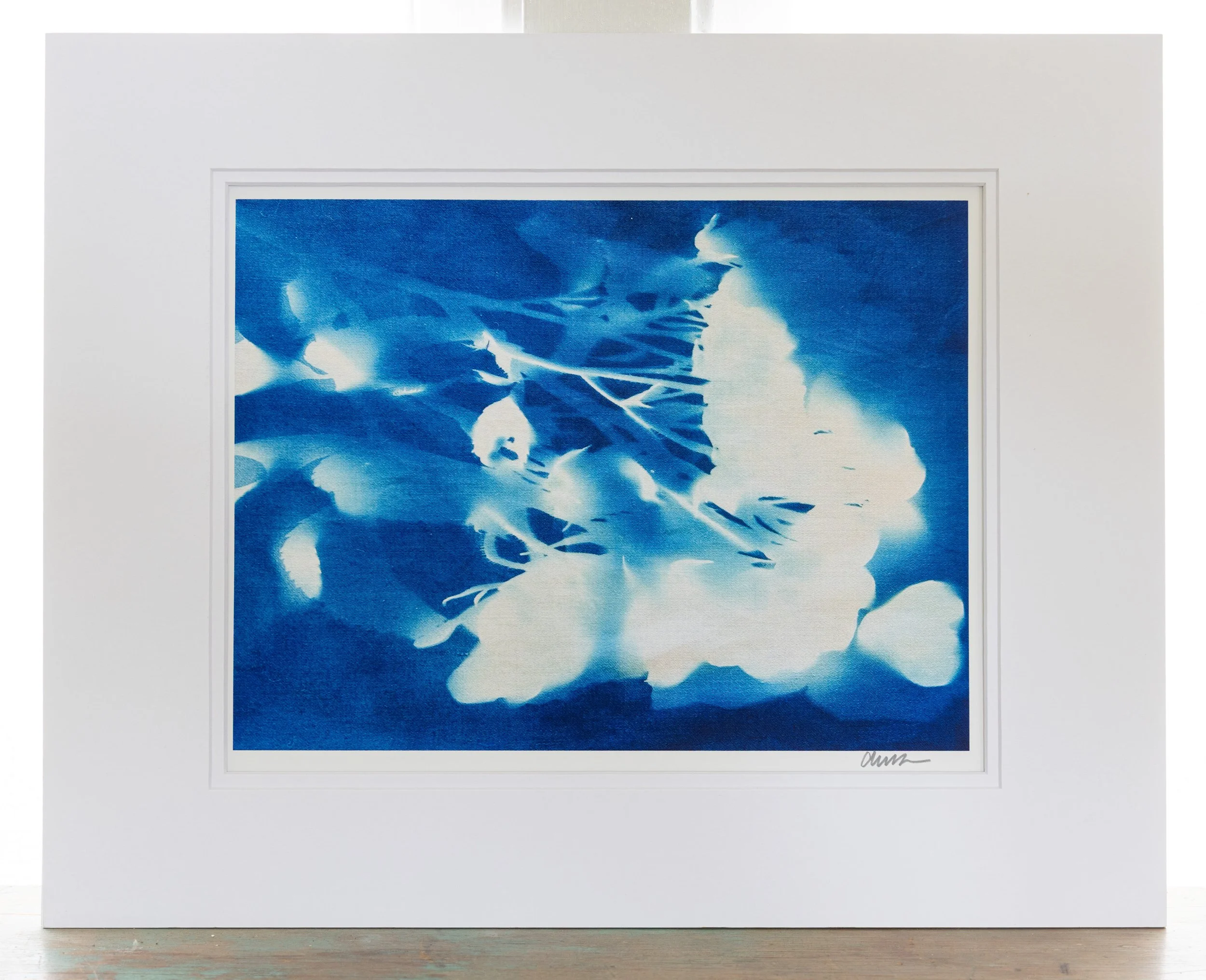 Print of an Abstract Floral Cyanotype