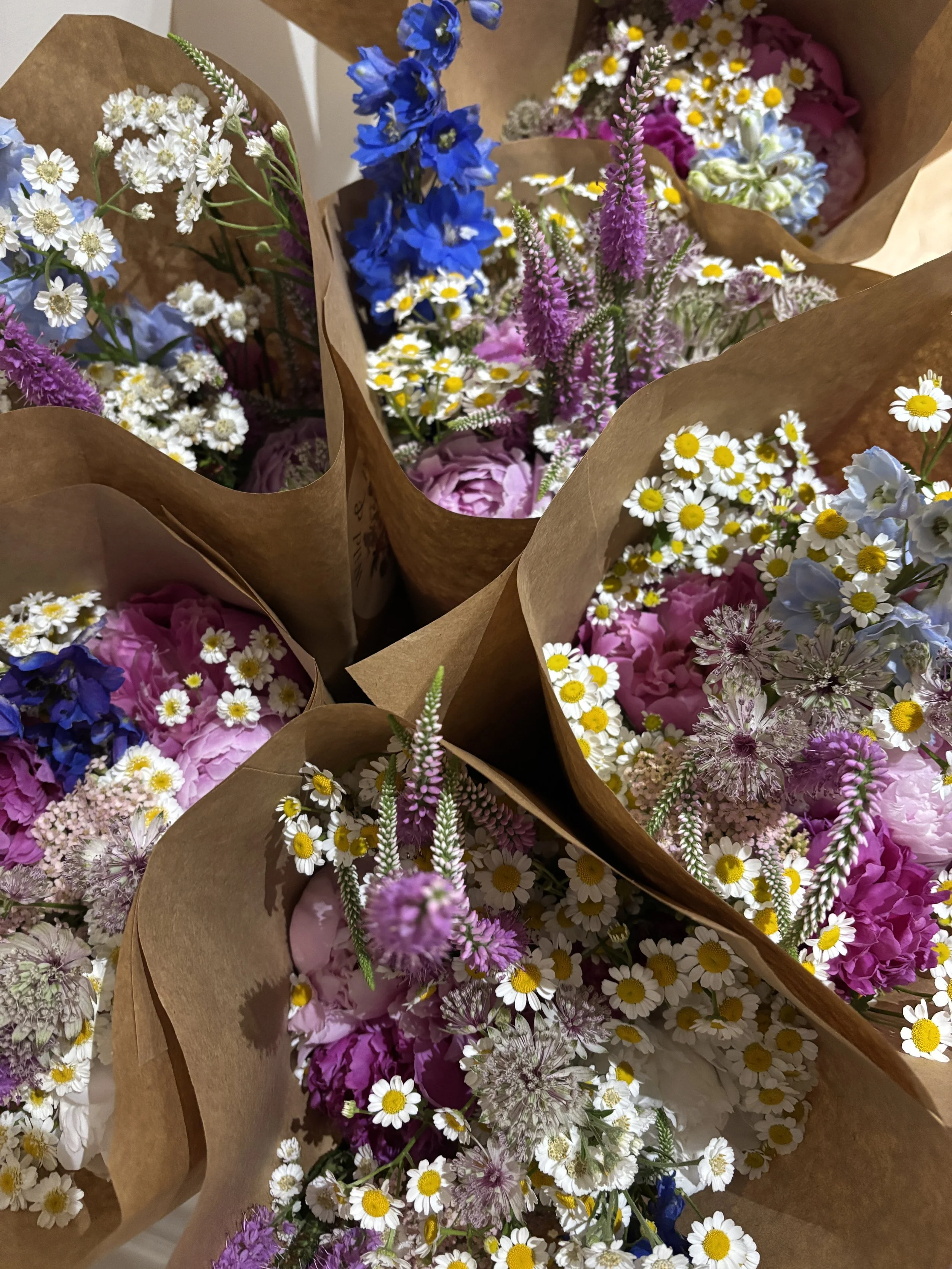 Fresh Flowers — Wild & Pressed Flower Co.