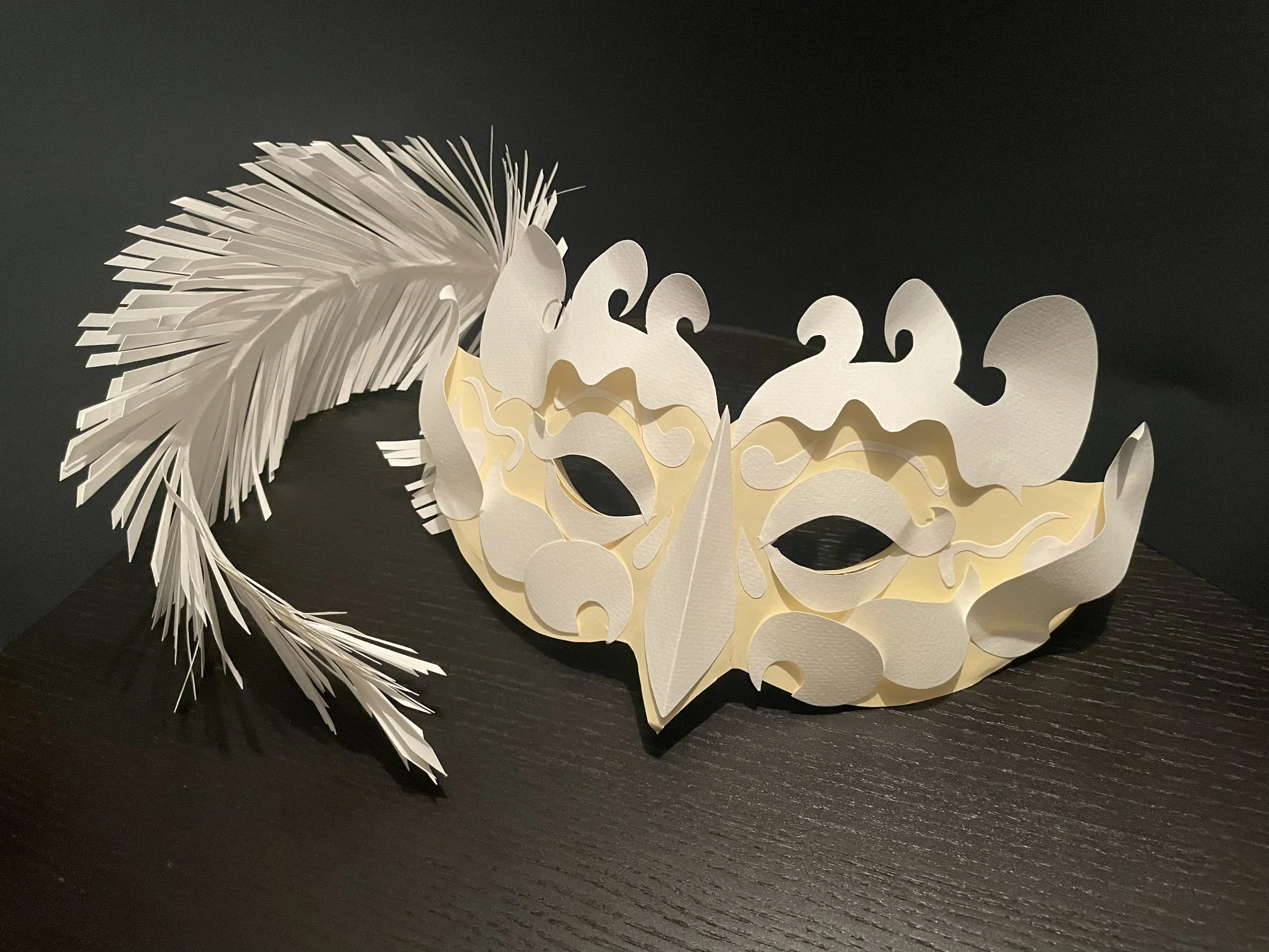 Masques et accessoires