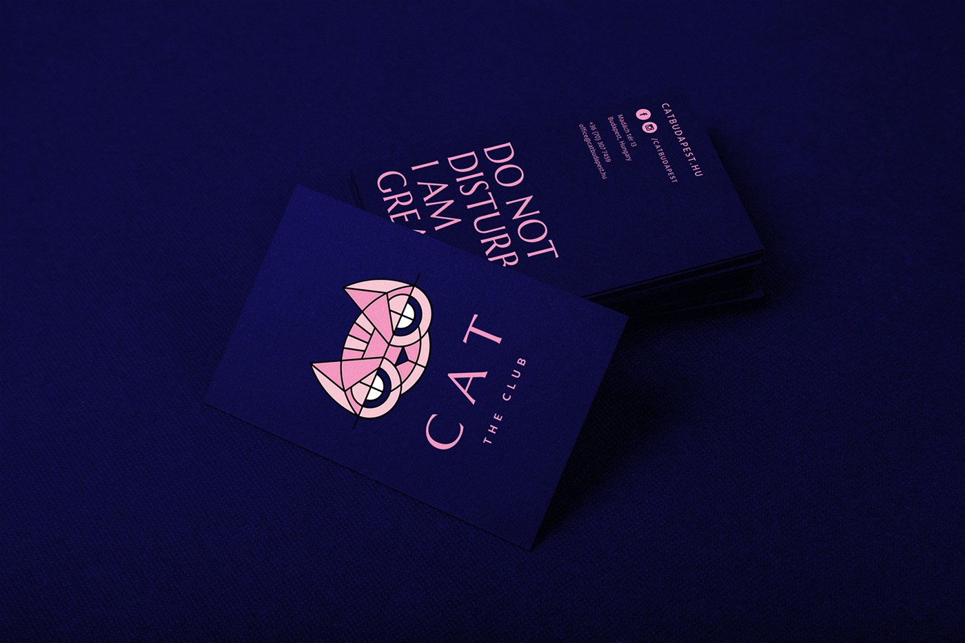 d8fedd84645831.5d63f0091dbd7.jpg
