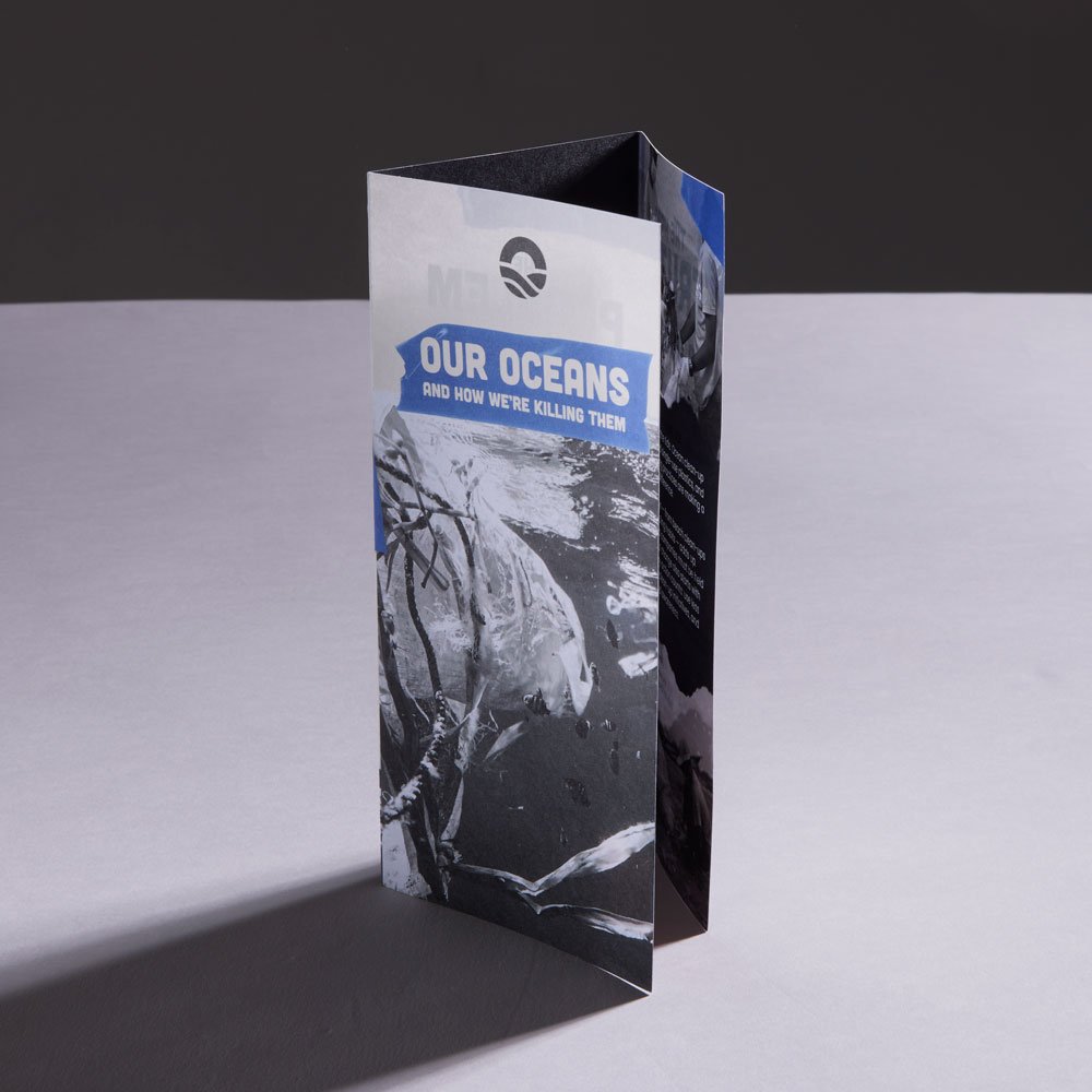 dl-c-fold-folded-leaflet-01.jpg