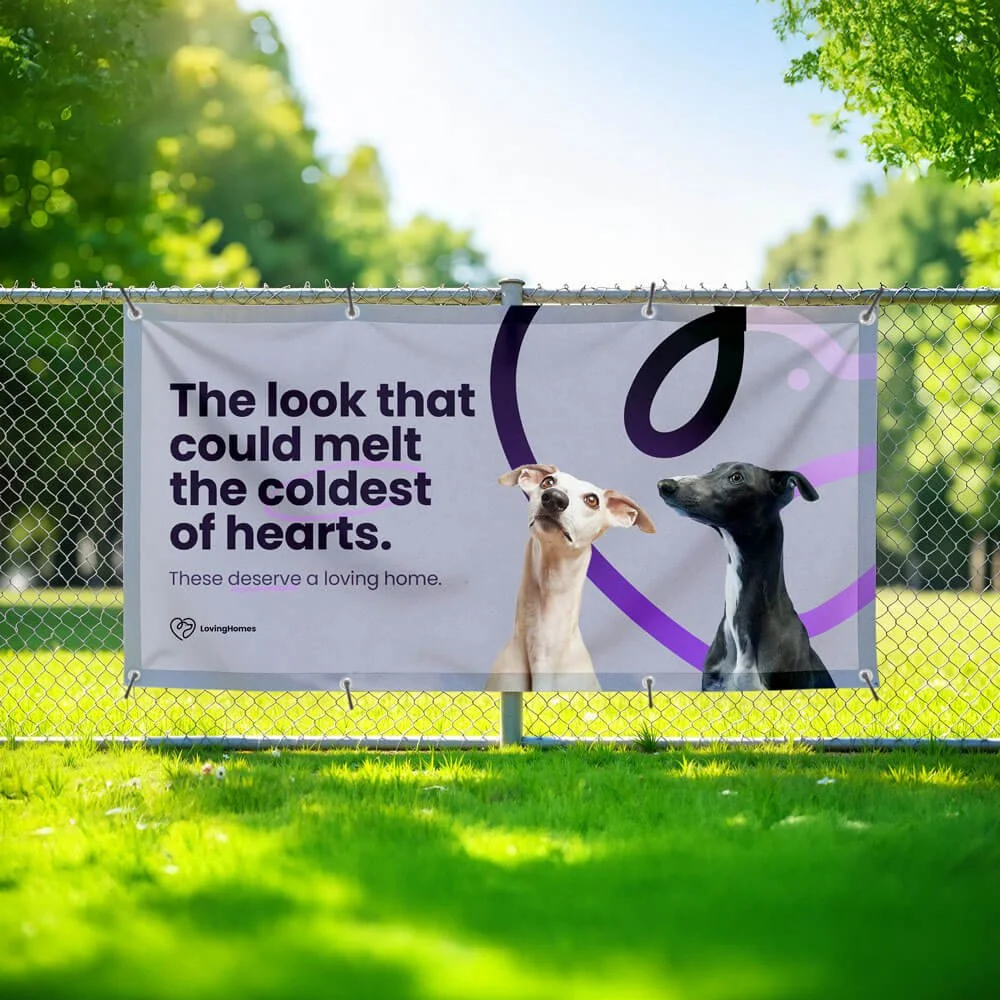 situ-outdoor-banner001.jpg