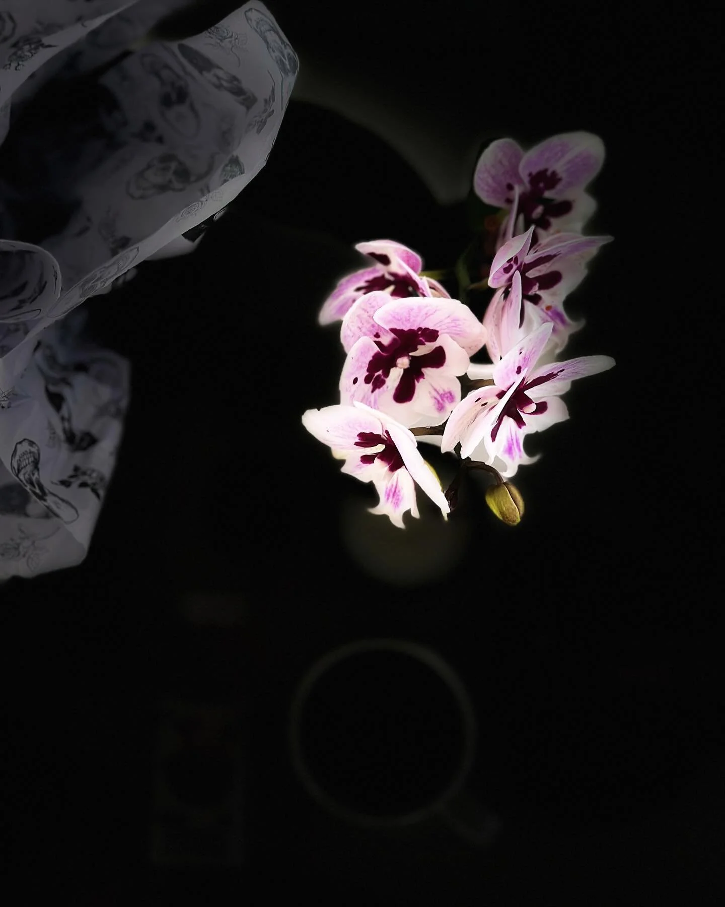 Season Change 🕯️

#candleseason #candlemaking #candleobsession