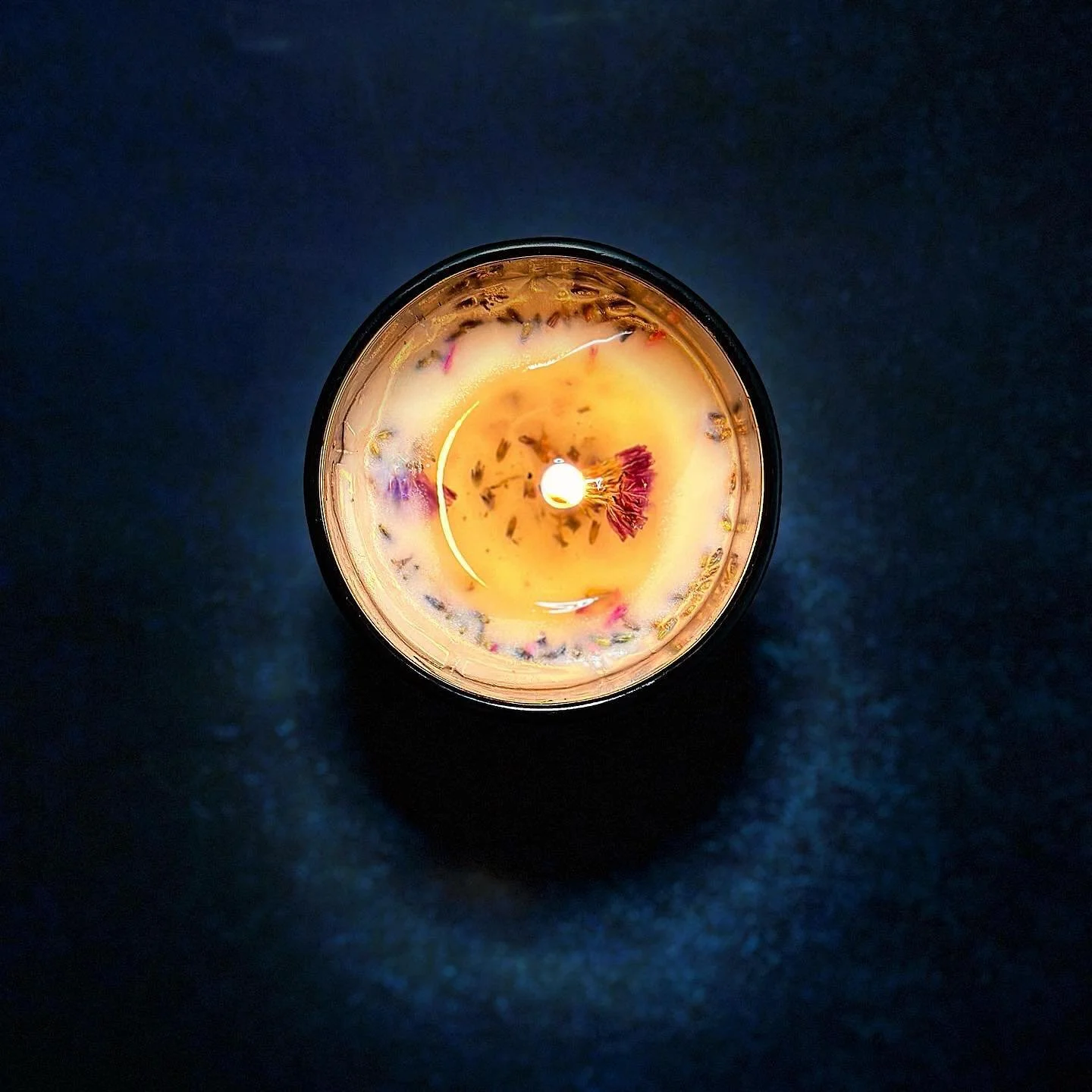 Our Metamorphosis 🦋