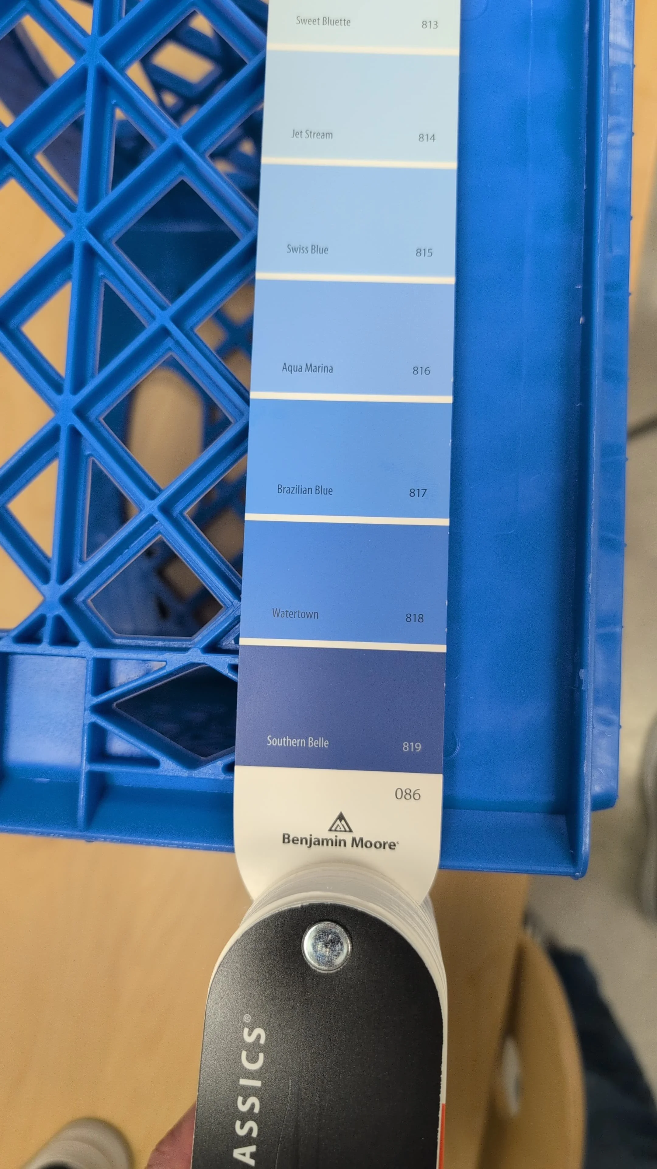 WhatsApp Image 2025-11-03 at 17.59.51.jpeg