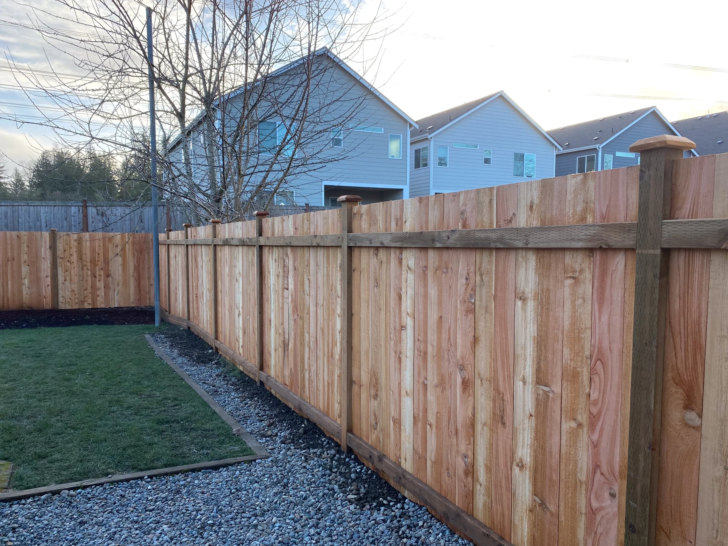 A newly built wooden privacy fence surrounds a backyard, with a grassy area and a gravel pathway. There is a tree with no leaves and houses with light blue siding in the background.