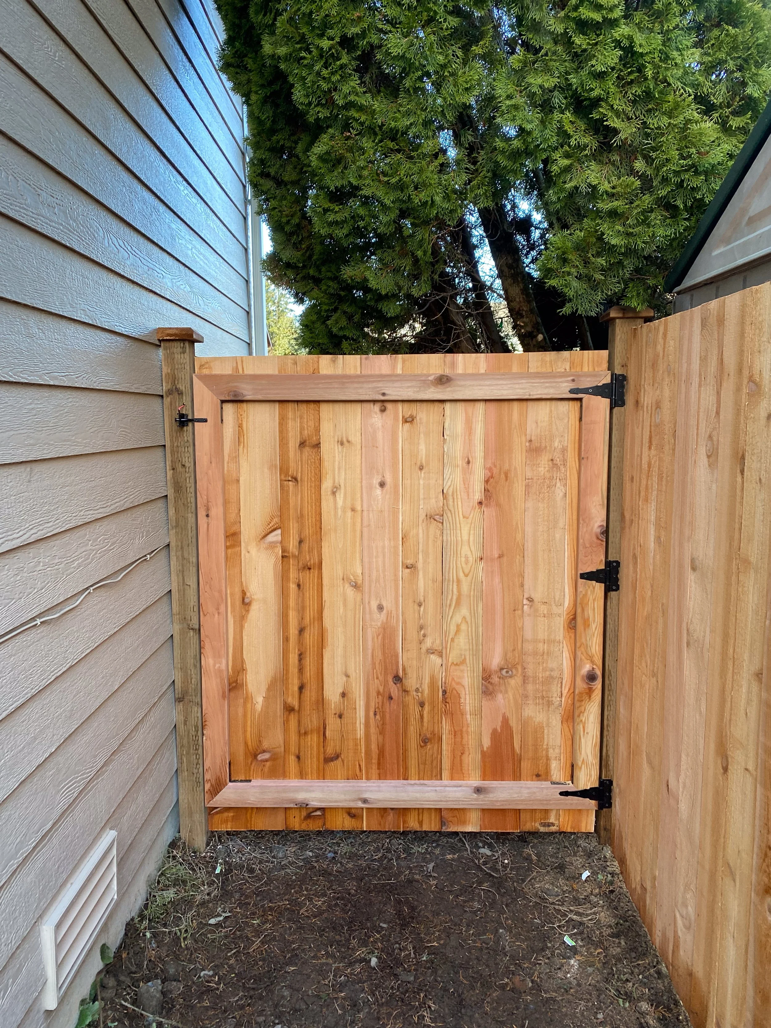 New wooden backyard gate between beige house siding and a wooden fence, with a large green tree in the background.