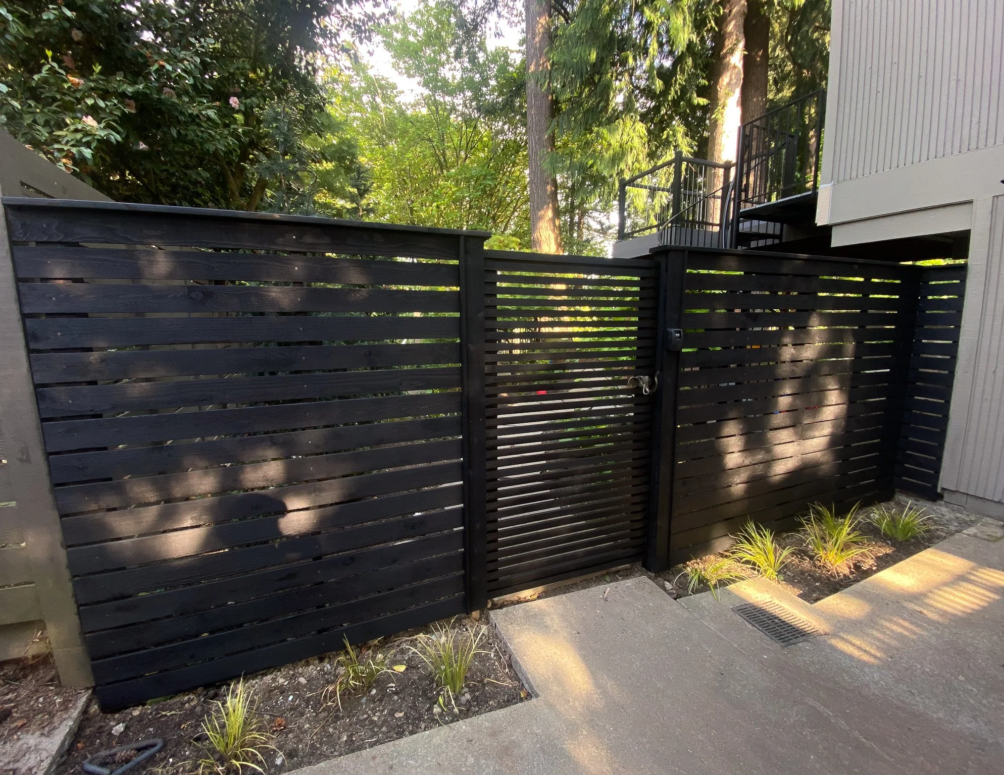 Black horizontal slat privacy fence with a matching gate, surrounding a modern house. Small plants and a drain are visible in the foreground, with trees and foliage behind the fence.