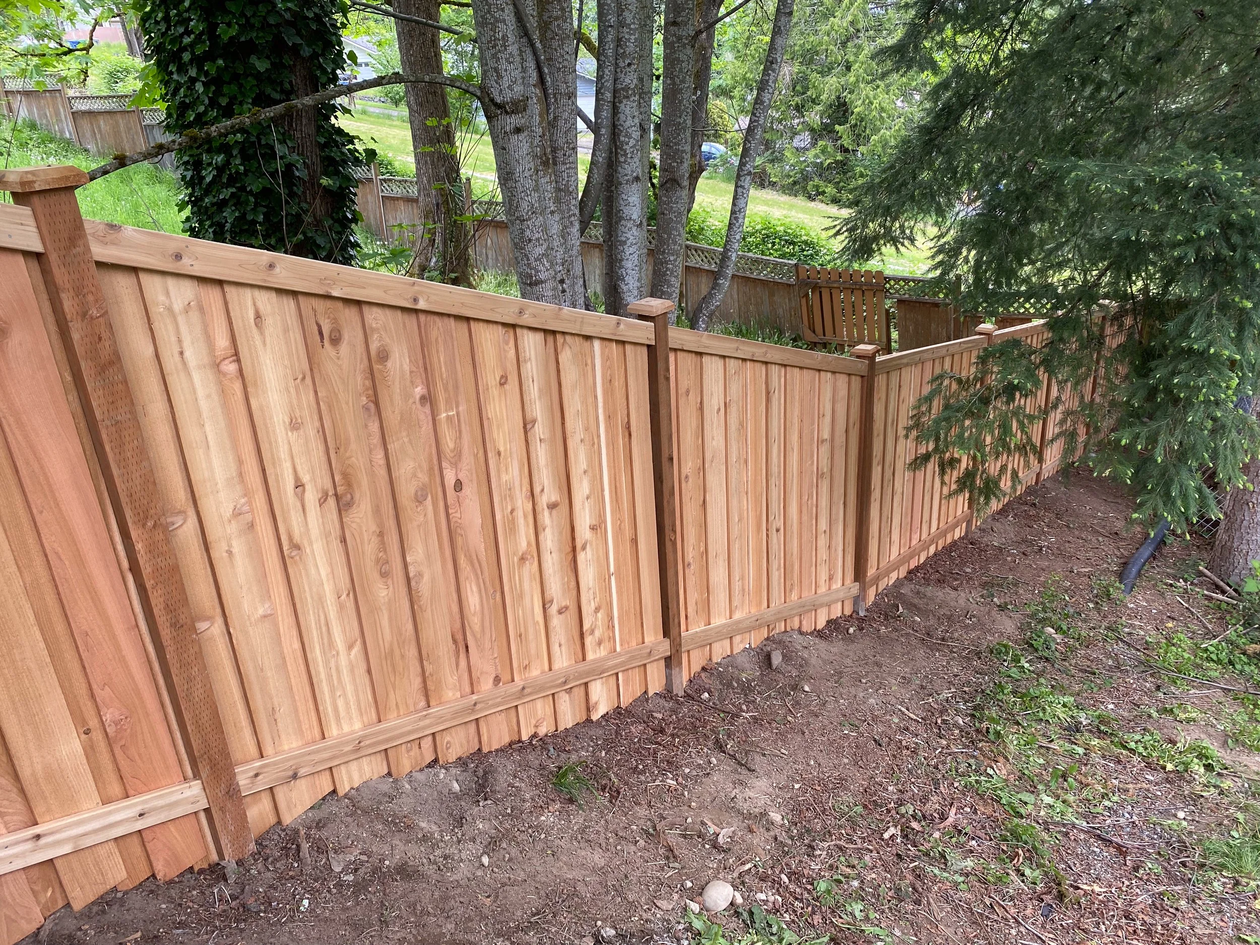 newly built wooden privacy fence in a backyard with trees and a shed in the background