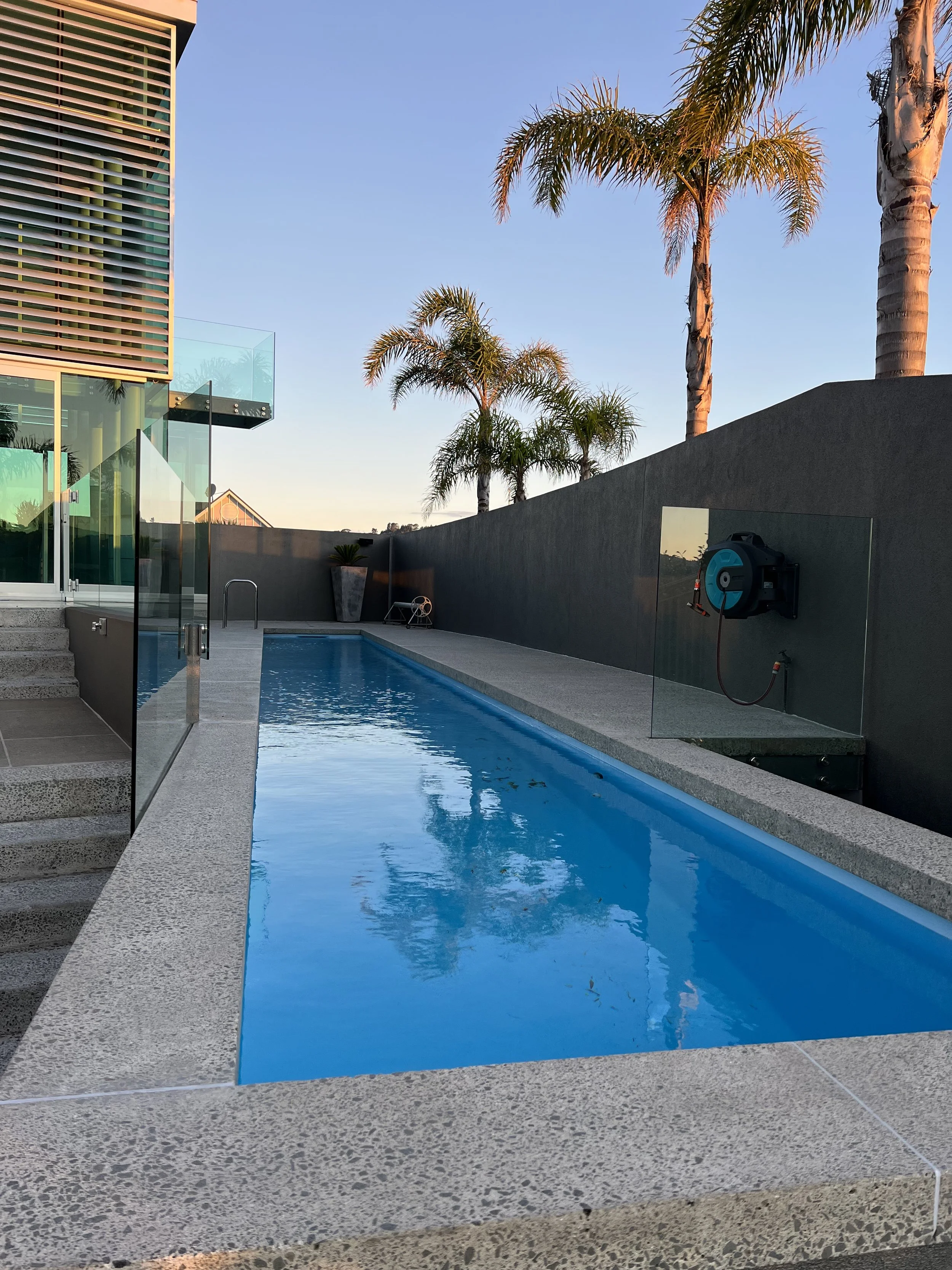 Modern backyard with a small rectangular swimming pool, glass fencing, palm trees, a gray wall, and a clear blue sky.