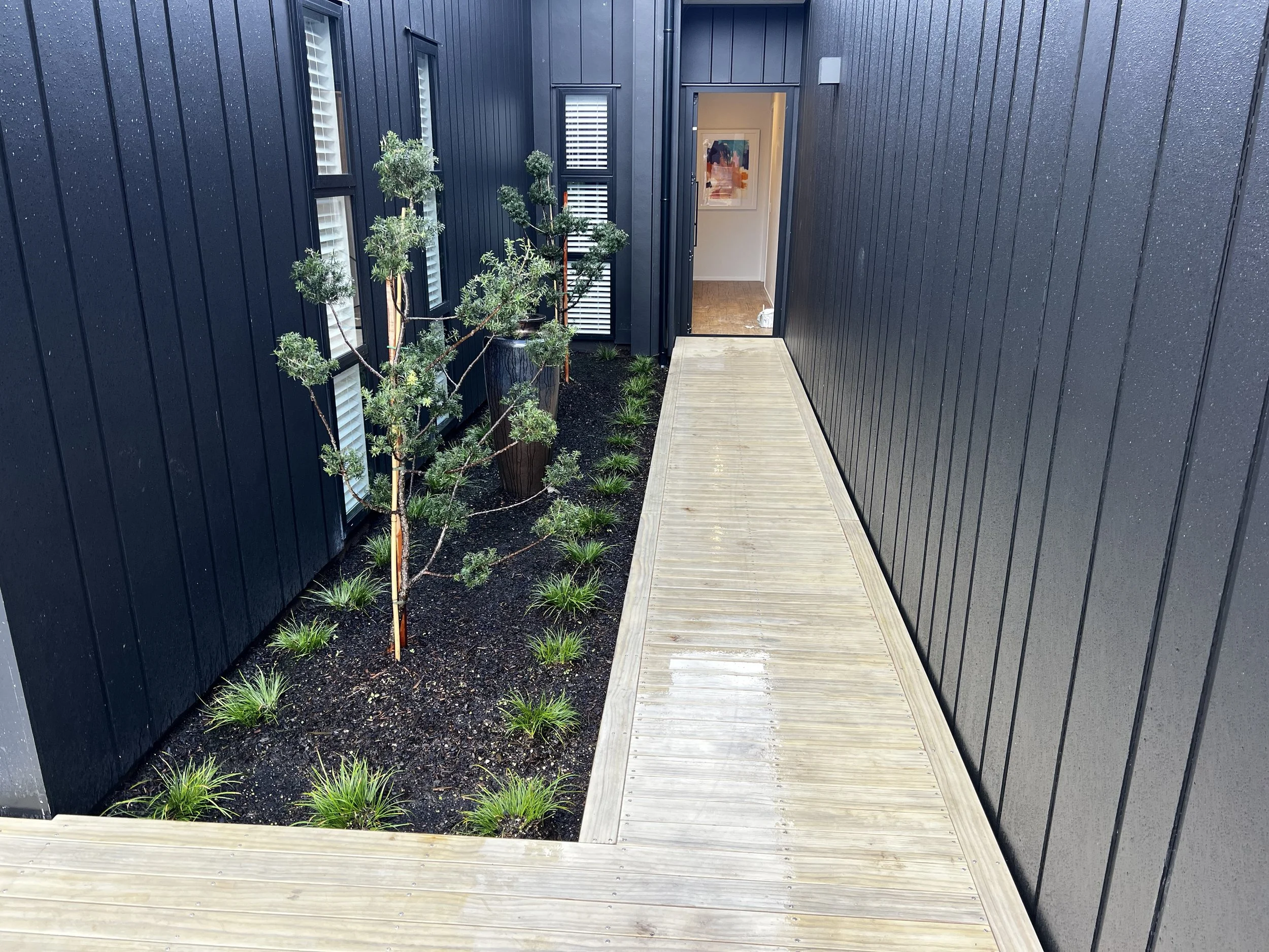 A narrow outdoor side yard with a wooden walkway, black vertical siding walls, a garden bed with a young tree, and potted plants leading to an open doorway.