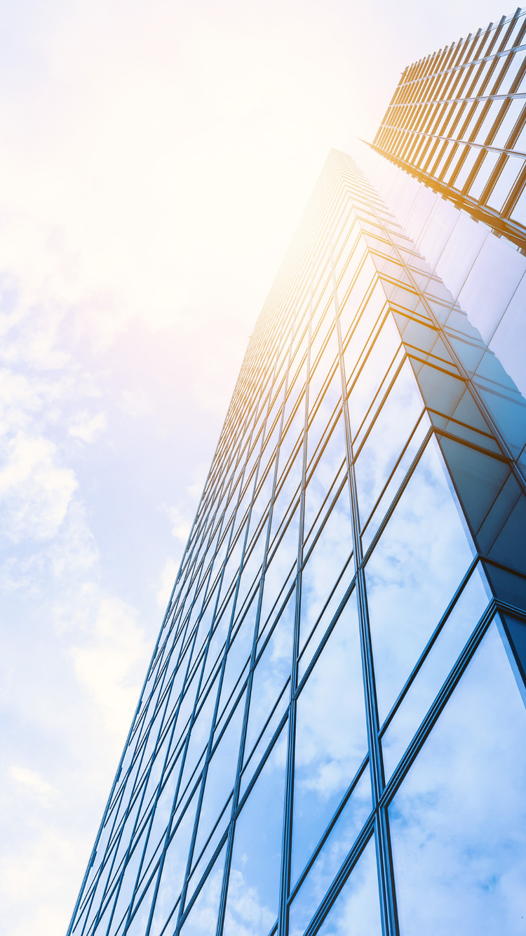 The Atkins IMPACT Consulting Firm