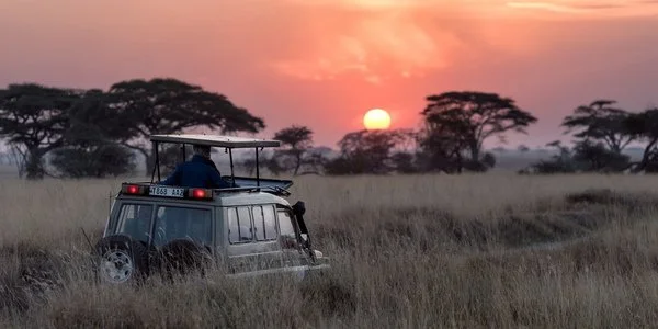 Safari Afrika - Serengeti National Park - Unsplash.jpg