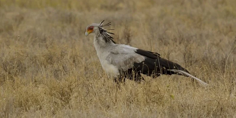 Serengeti National Park