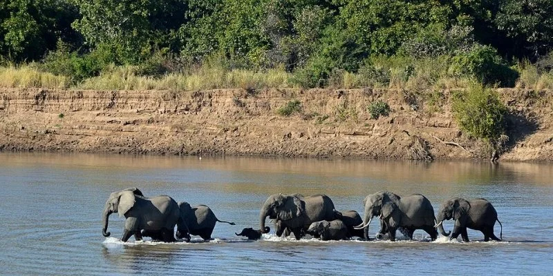 Safari Afrika - South Luangwa National Park