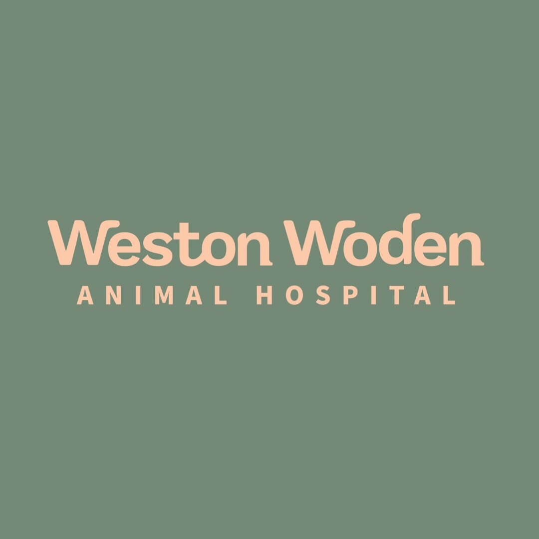 We hope you all love our new look as much as we do! 
🧡🧡
So why the change?
The Weston Woden Animal Hospital team is excited about our future caring for the Weston Creek community. &nbsp;We have seen our team grow and mature over the last few years,