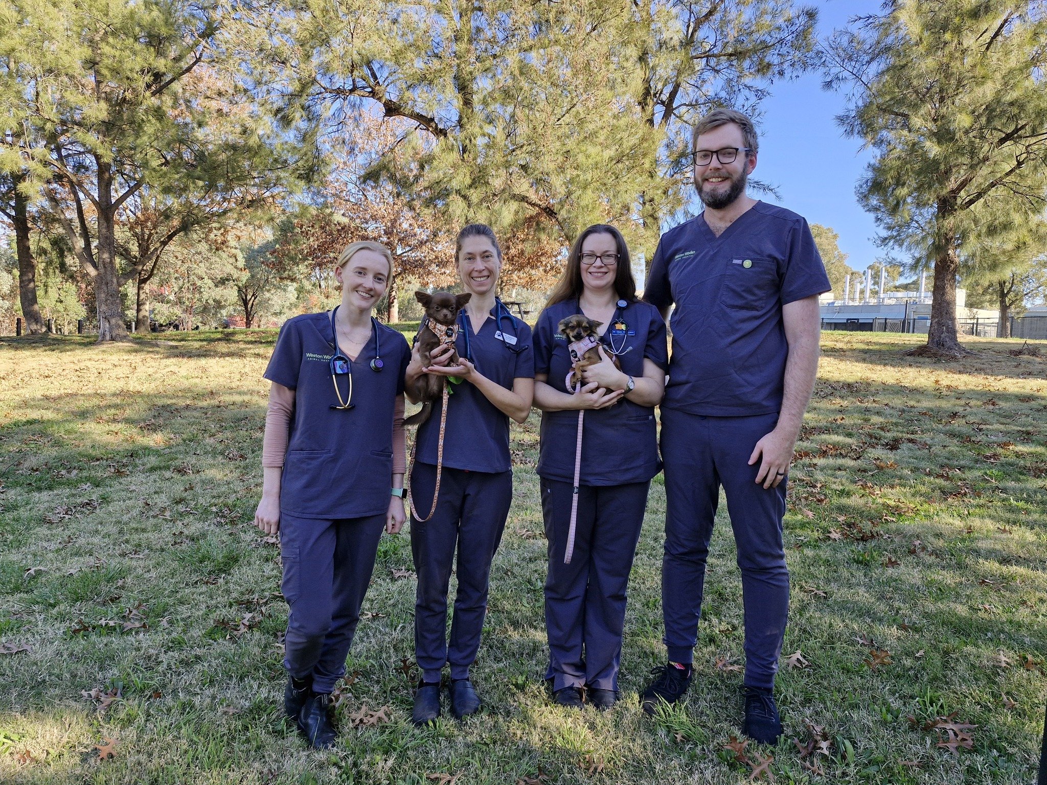 🩺HAPPY WORLD VETERINARY DAY 🩺

Due to a month of incredible work and demand for our amazing team, we've had to push celebrating World Veterinary Day back. We try to celebrate our Vets each and every day but it is important that they have a day to b