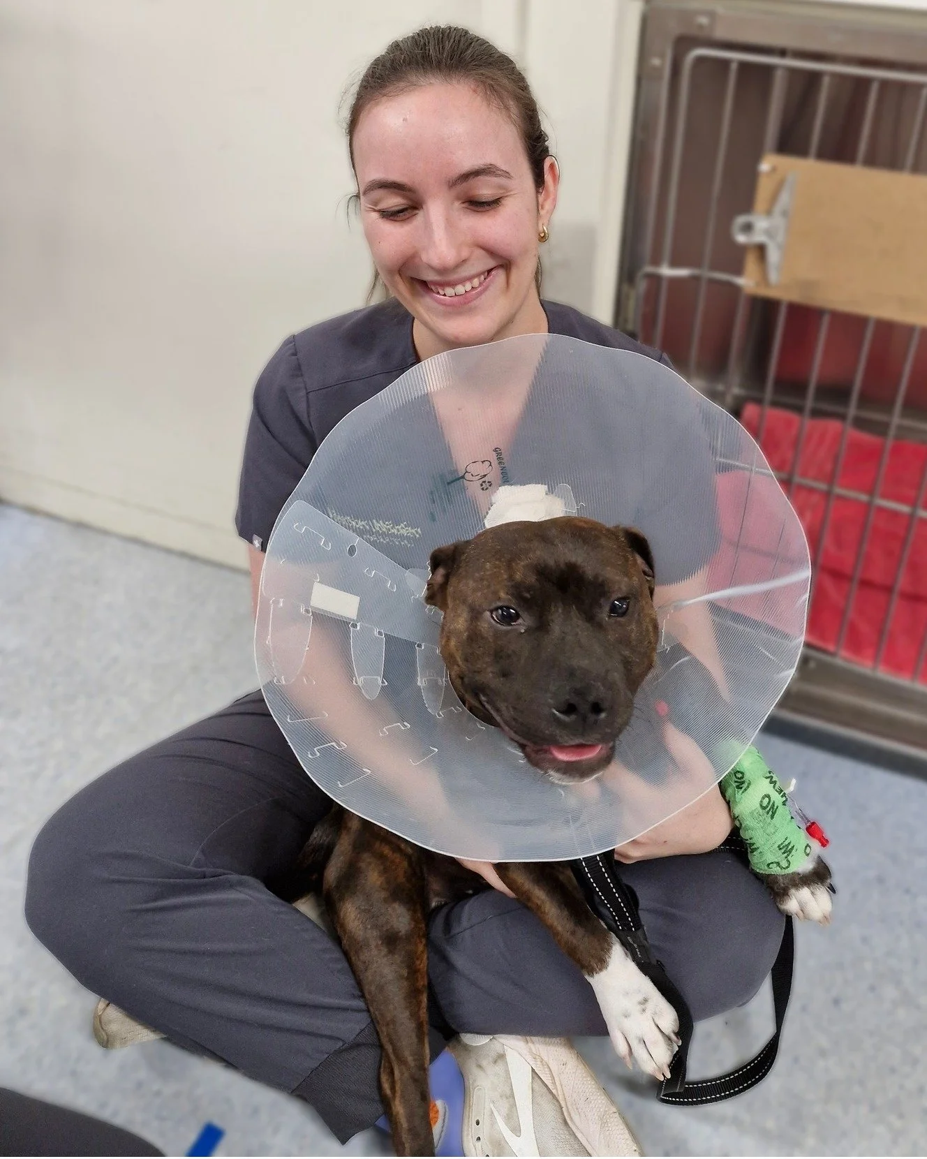Bonzo

Happiness is a Bonzo snuggling in your lap! This little man got lots of reassurance and love during his desexing visit from his favourite nurse, Julia.

 #westonwodenanimalhospital #vetmed #veterinary #vet #vetsofinstagram #veterinaryclinic #v