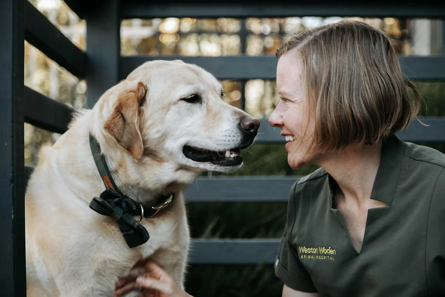 ☀️ H A P P Y  S U N D A Y ☀️

We hope everyone is enjoying this glorious Spring day with their pets!