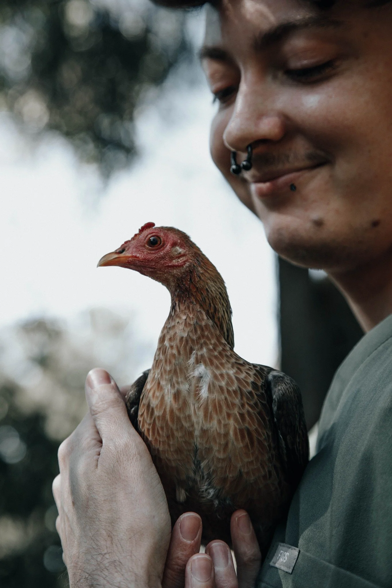 🪶 Thumbelina 🪶

Meet Thumbelina! This 500-gram game bantam was found 5 years ago as a baby, by a member of the public, on the side of a very hot road. Unfortunately she was found with injured feet, which required her thumb toes to be surgically rem