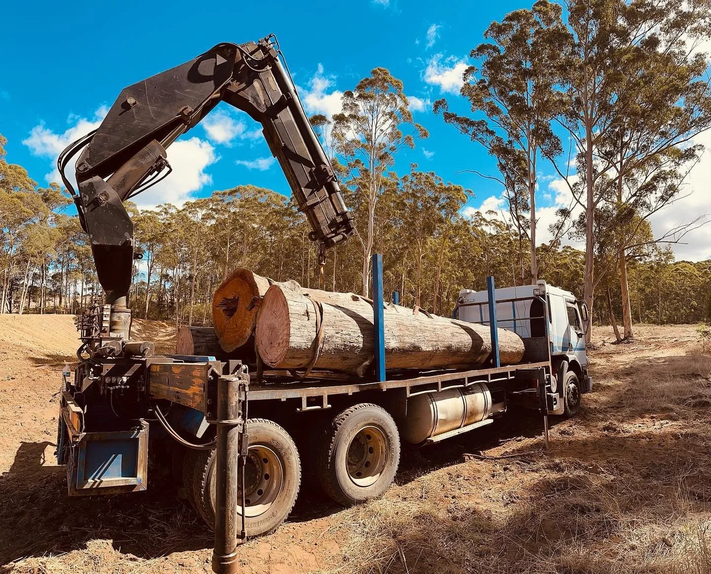 Log dog working hard 

#perthtimber #perthfirewood #perthsmallbusiness #watimber