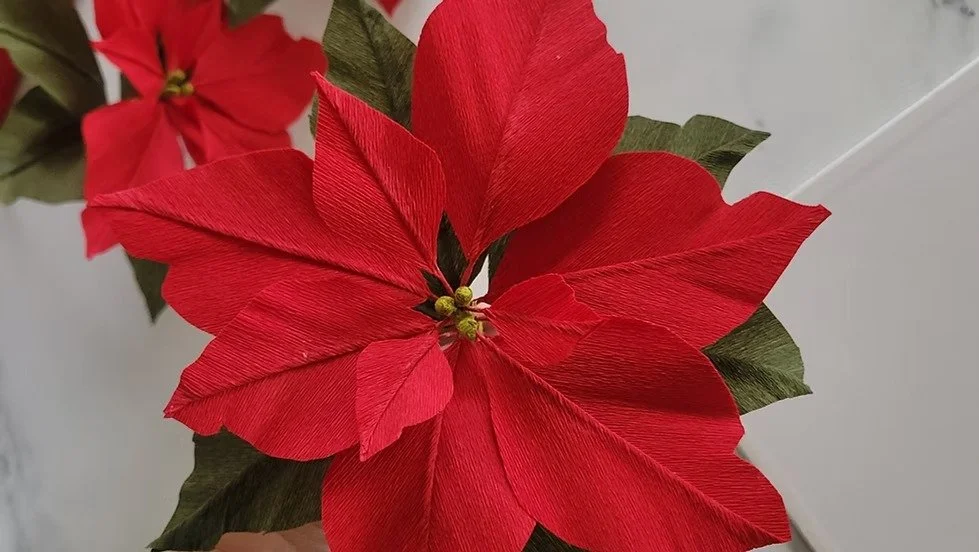 Paper Poinsettia Workshop