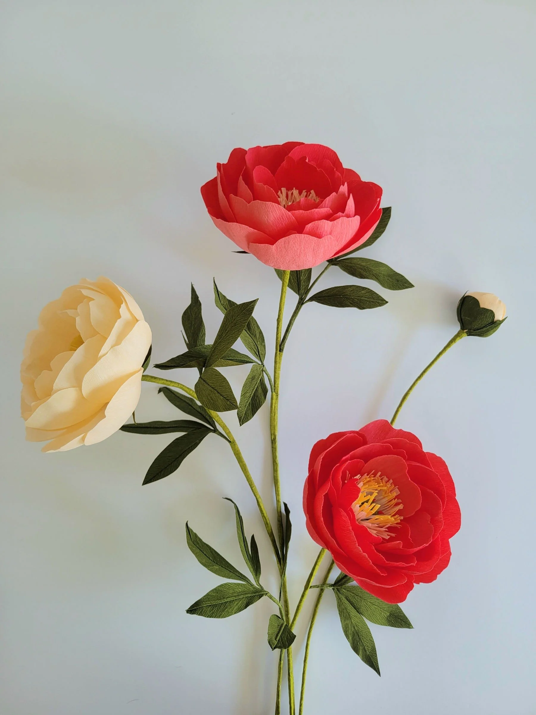 Paper Peony: Mothers Day Floral Workshop