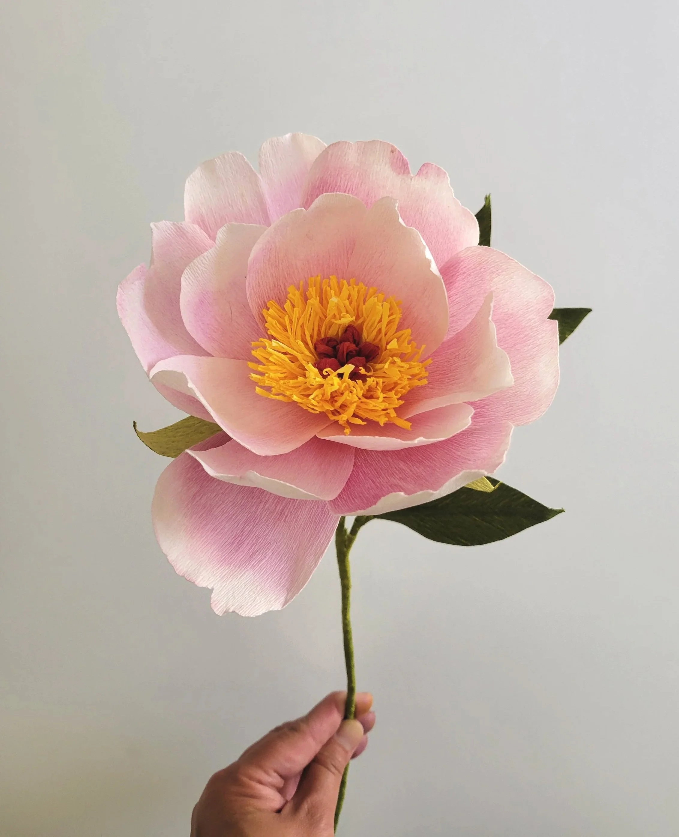 Itoh Peony Paper