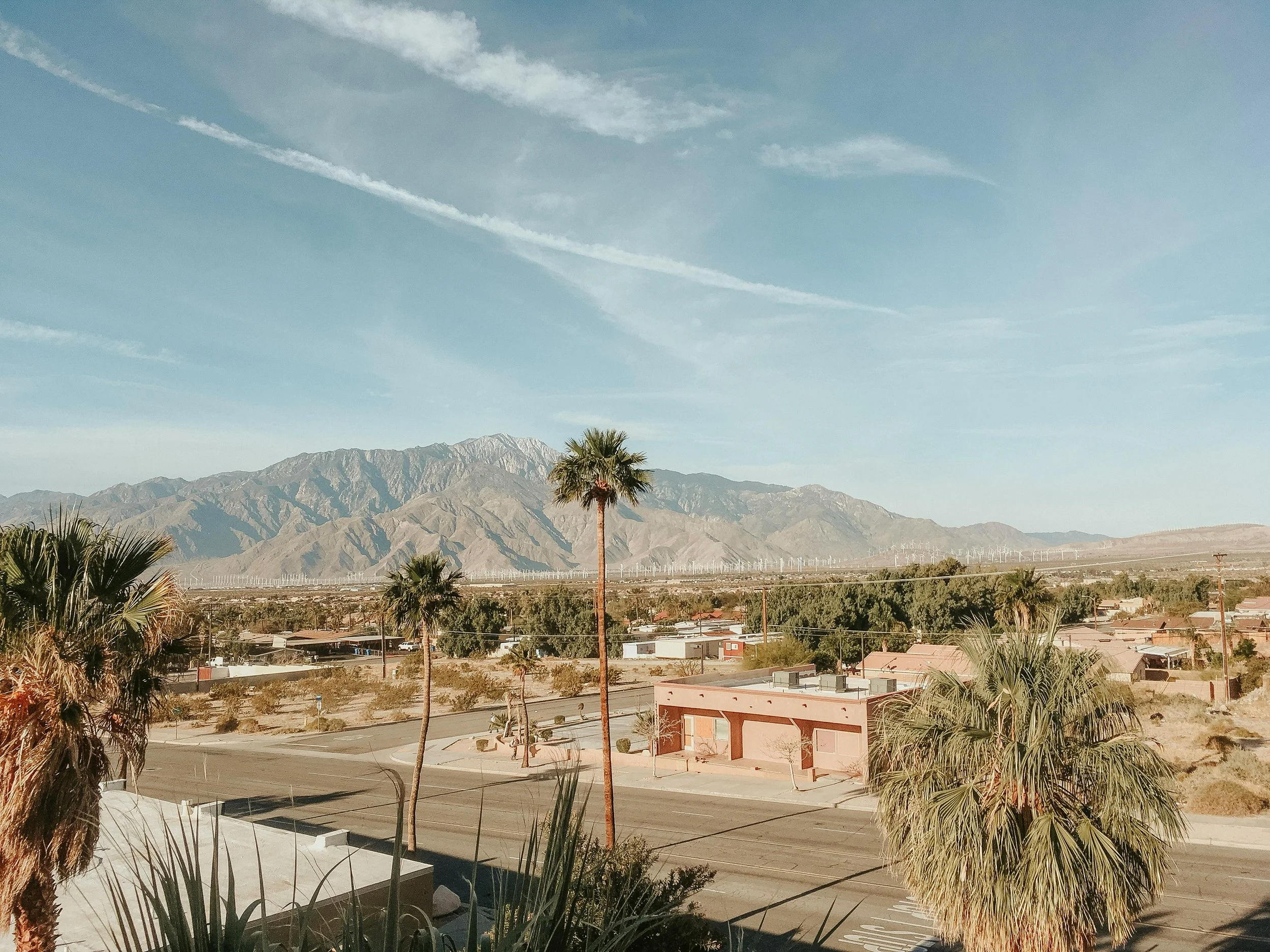 A desert landscape with several palm trees in the foreground, a small building, and mountains in the distance under a partly cloudy sky.